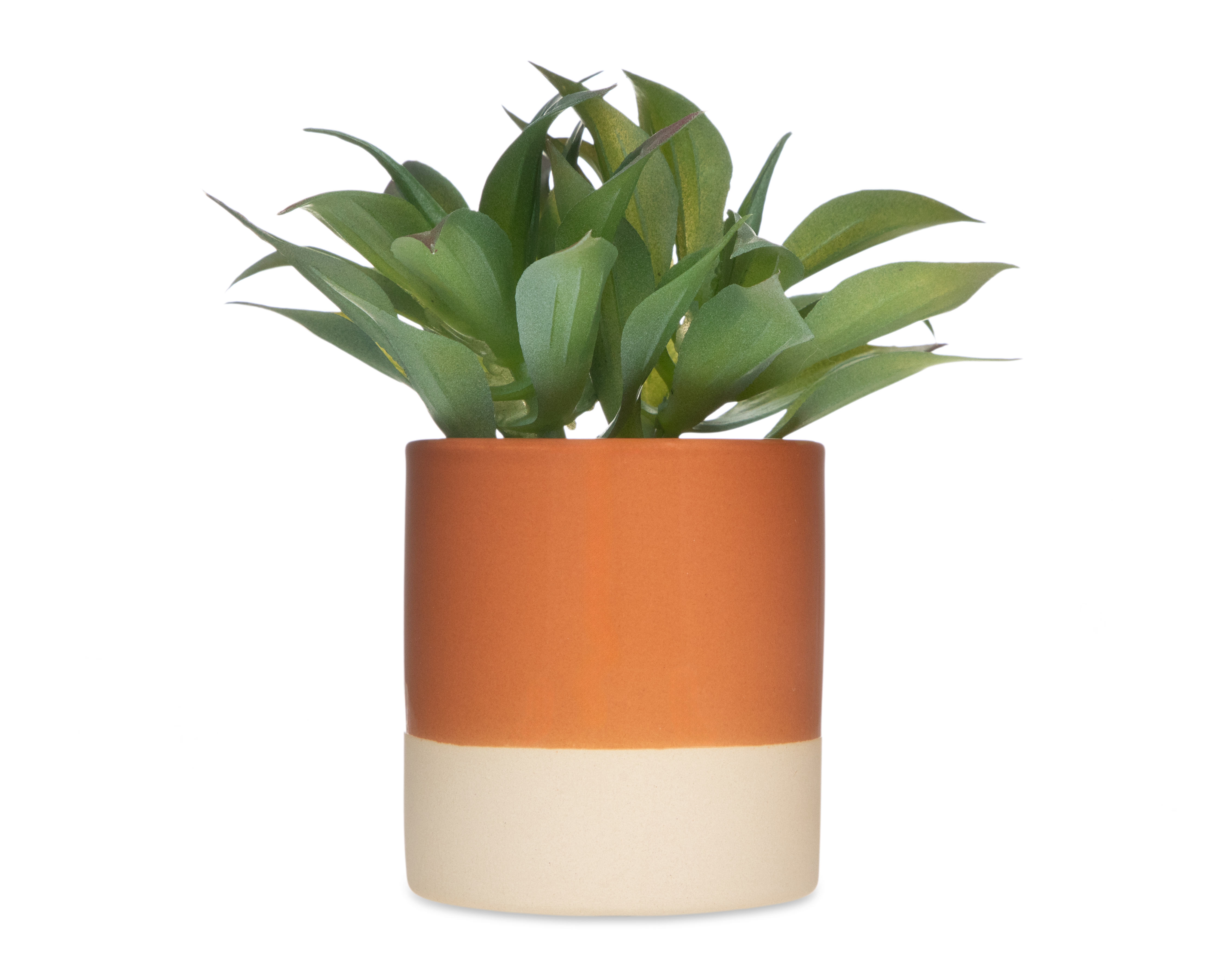 Agave Attenuata Artificial con Maceta Starhaus 17 cm