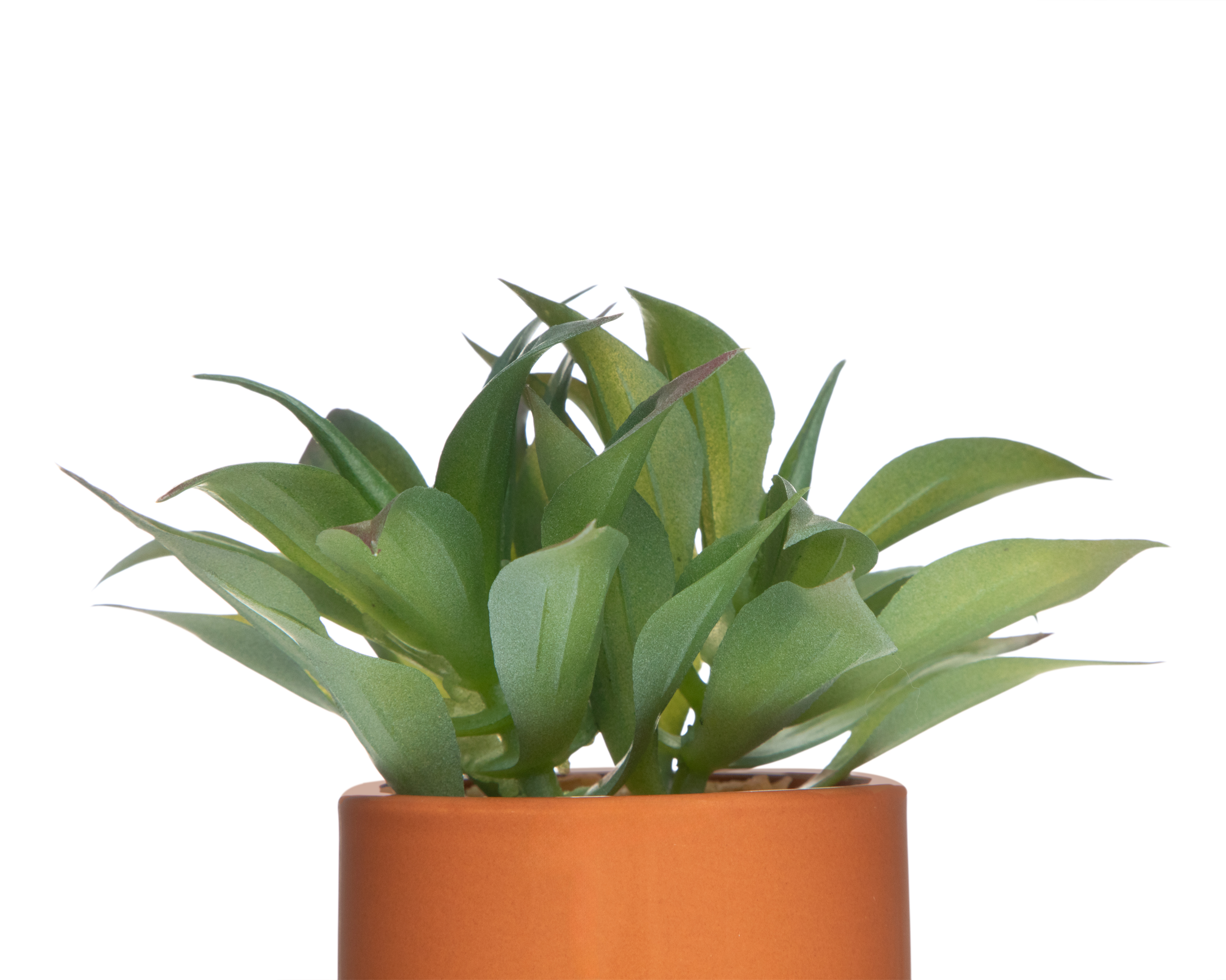 Foto 3 | Foto 3 | Agave Attenuata Artificial con Maceta Starhaus 17 cm