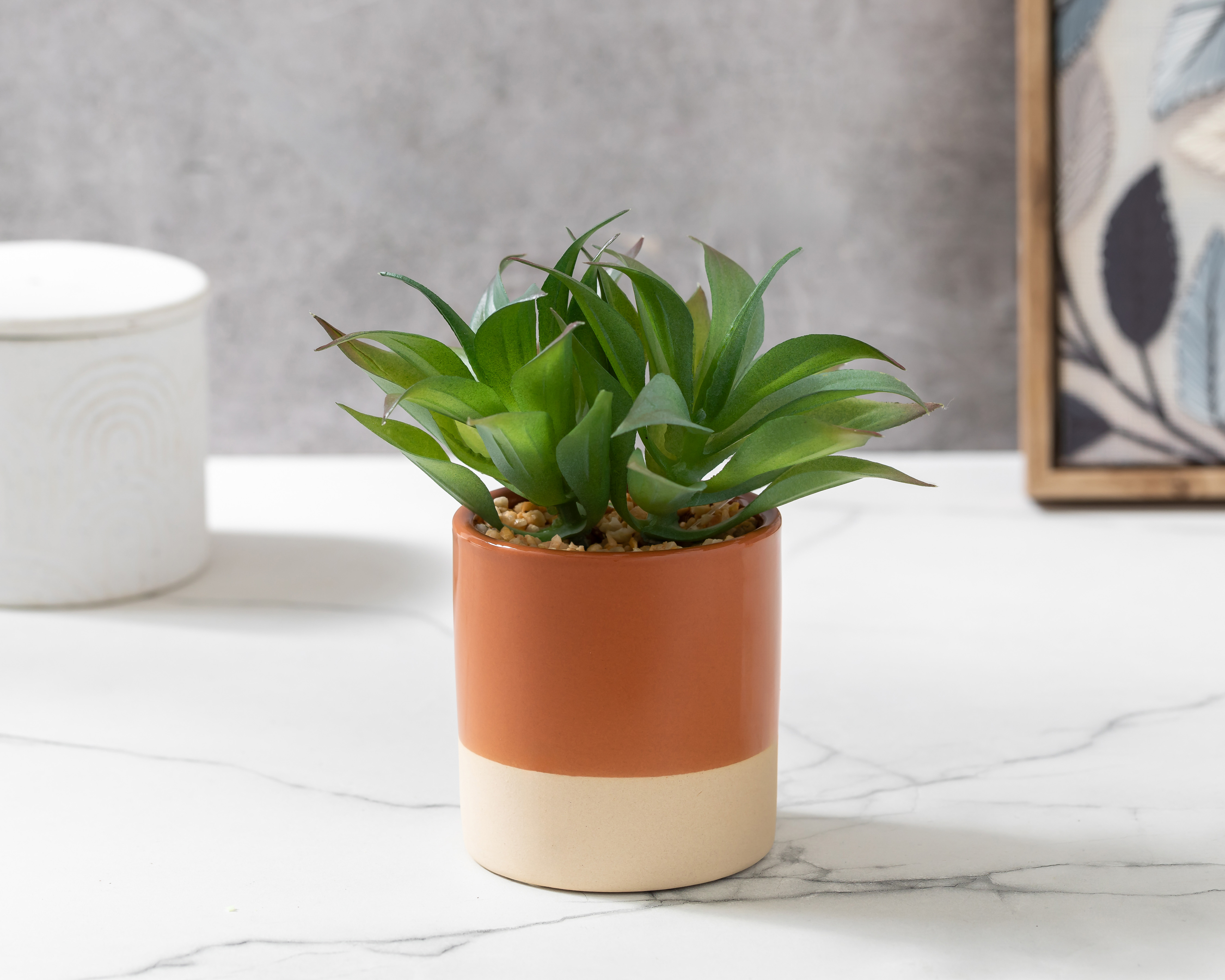 Foto 5 pulgar | Foto 4 | Agave Attenuata Artificial con Maceta Starhaus 17 cm