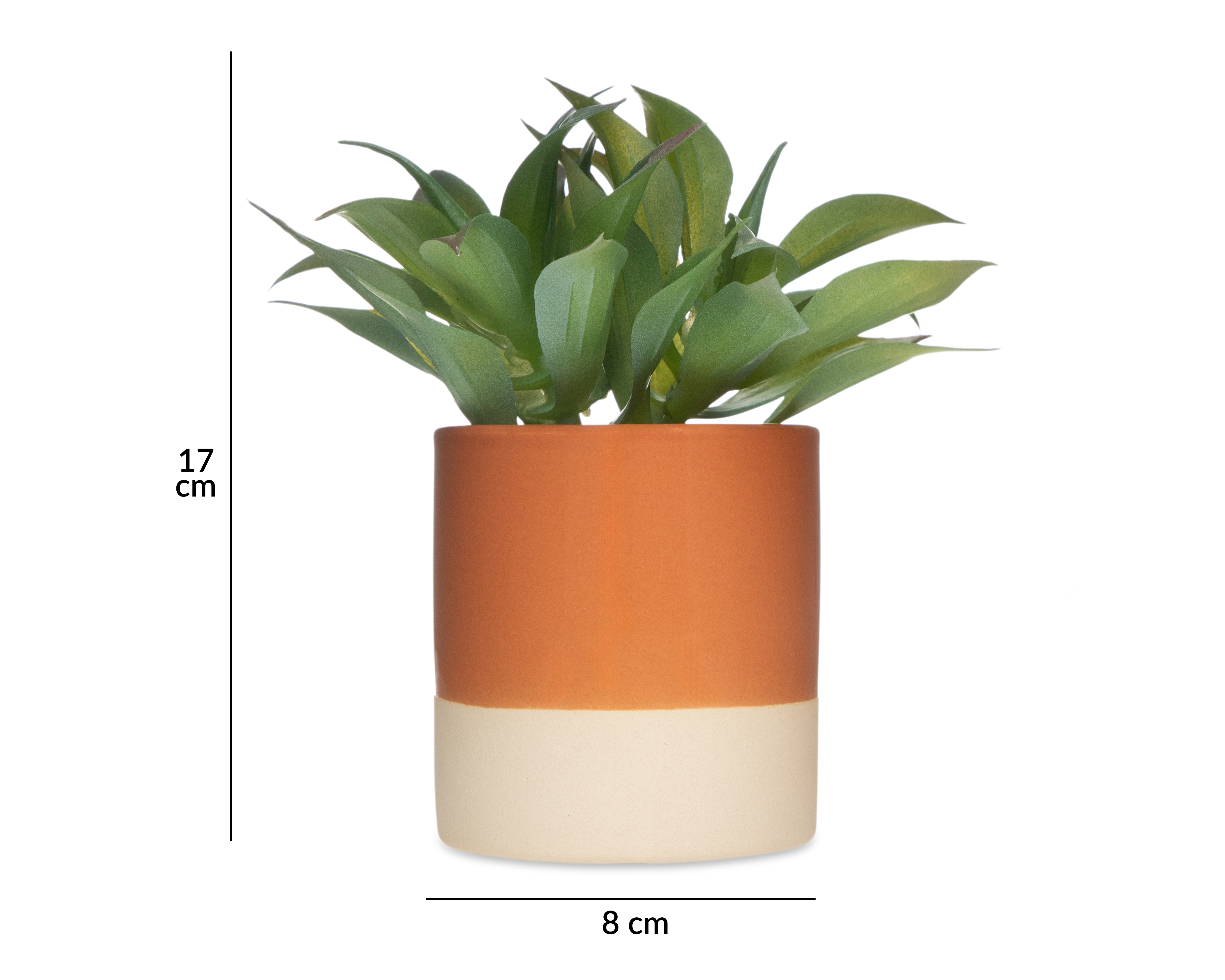 Foto 5 | Foto 5 | Agave Attenuata Artificial con Maceta Starhaus 17 cm