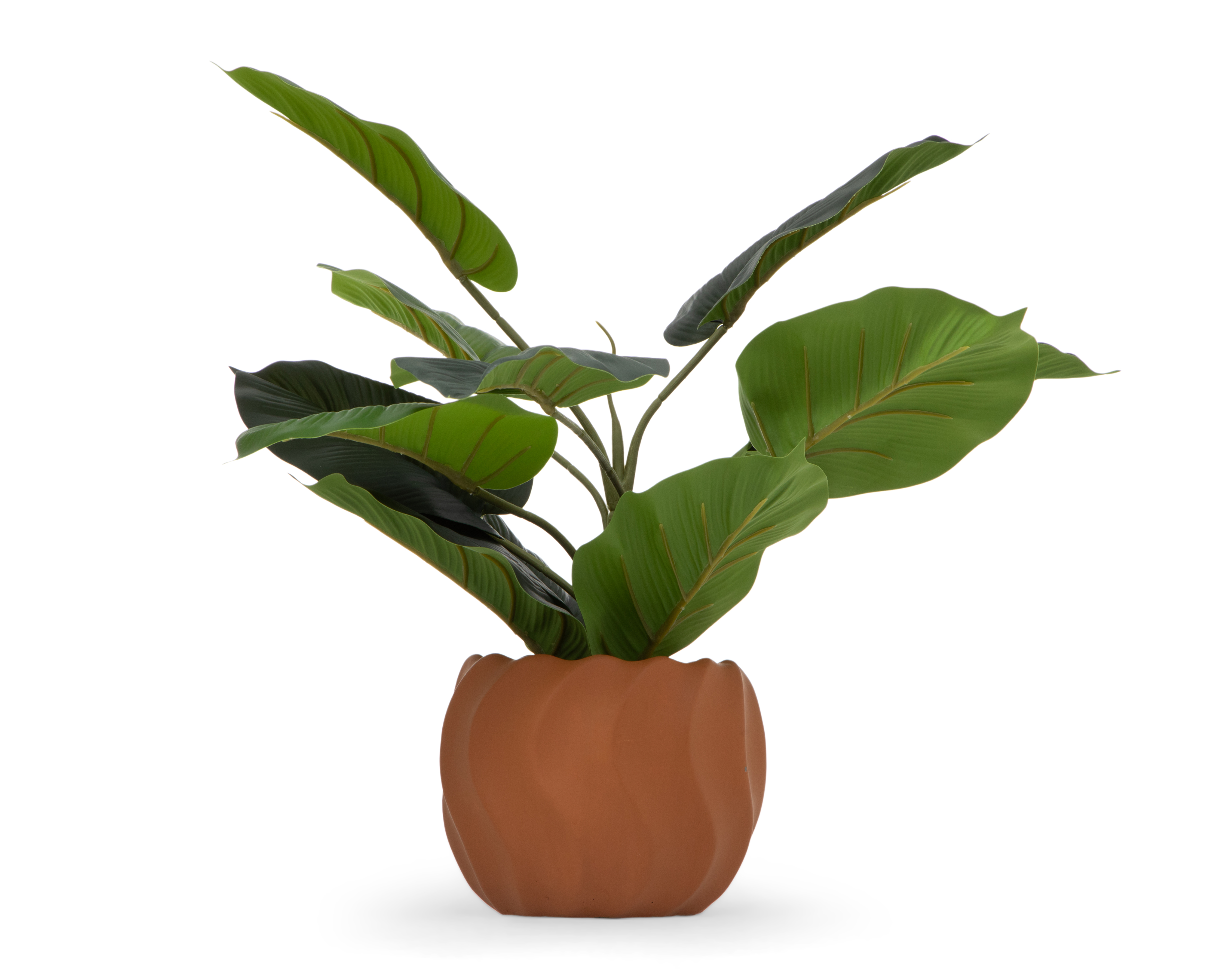 Ficus Artificial con Maceta Starhaus 44 cm