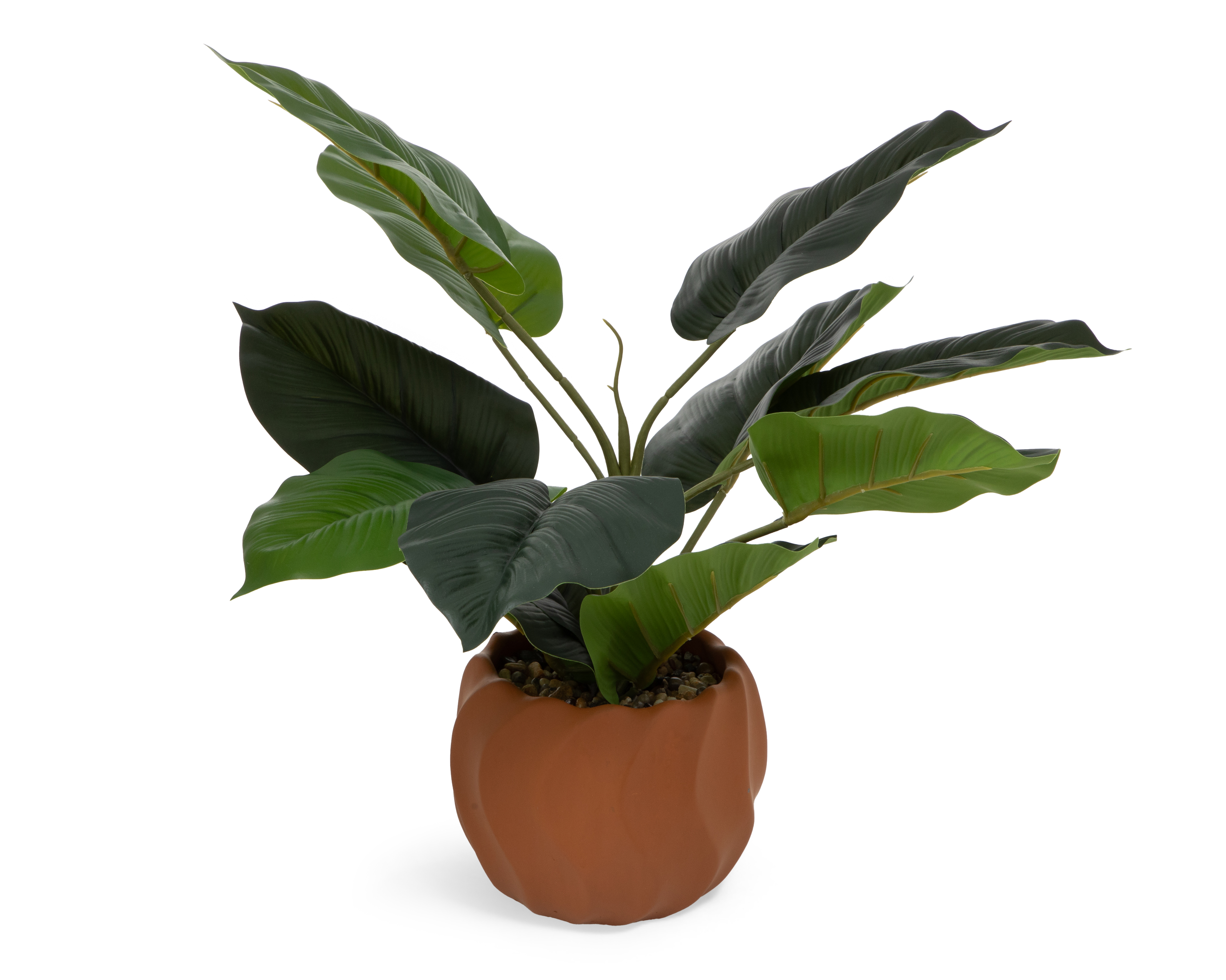 Foto 2 | Foto 2 | Ficus Artificial con Maceta Starhaus 44 cm