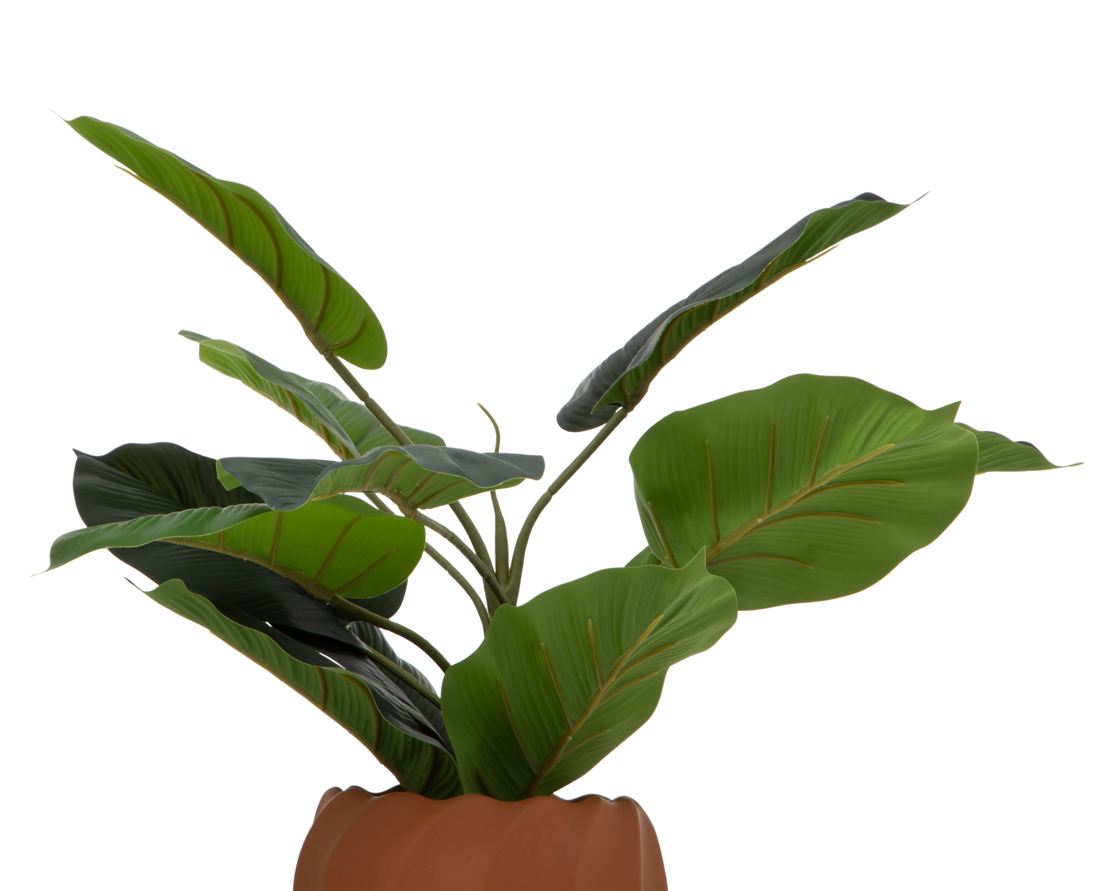 Foto 4 pulgar | Foto 3 | Ficus Artificial con Maceta Starhaus 44 cm