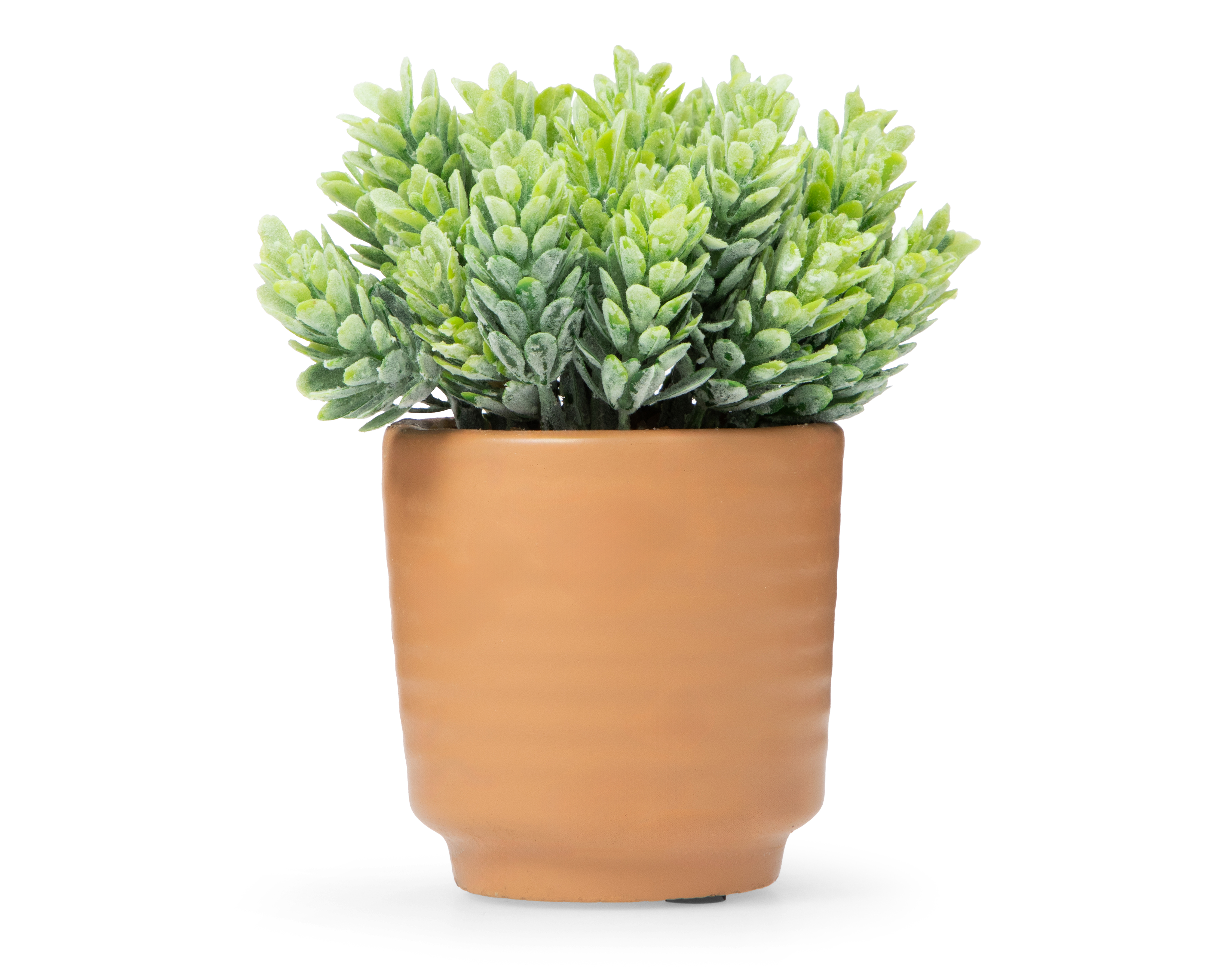 Eucalipto Artificial con Maceta Starhaus 14.5 cm