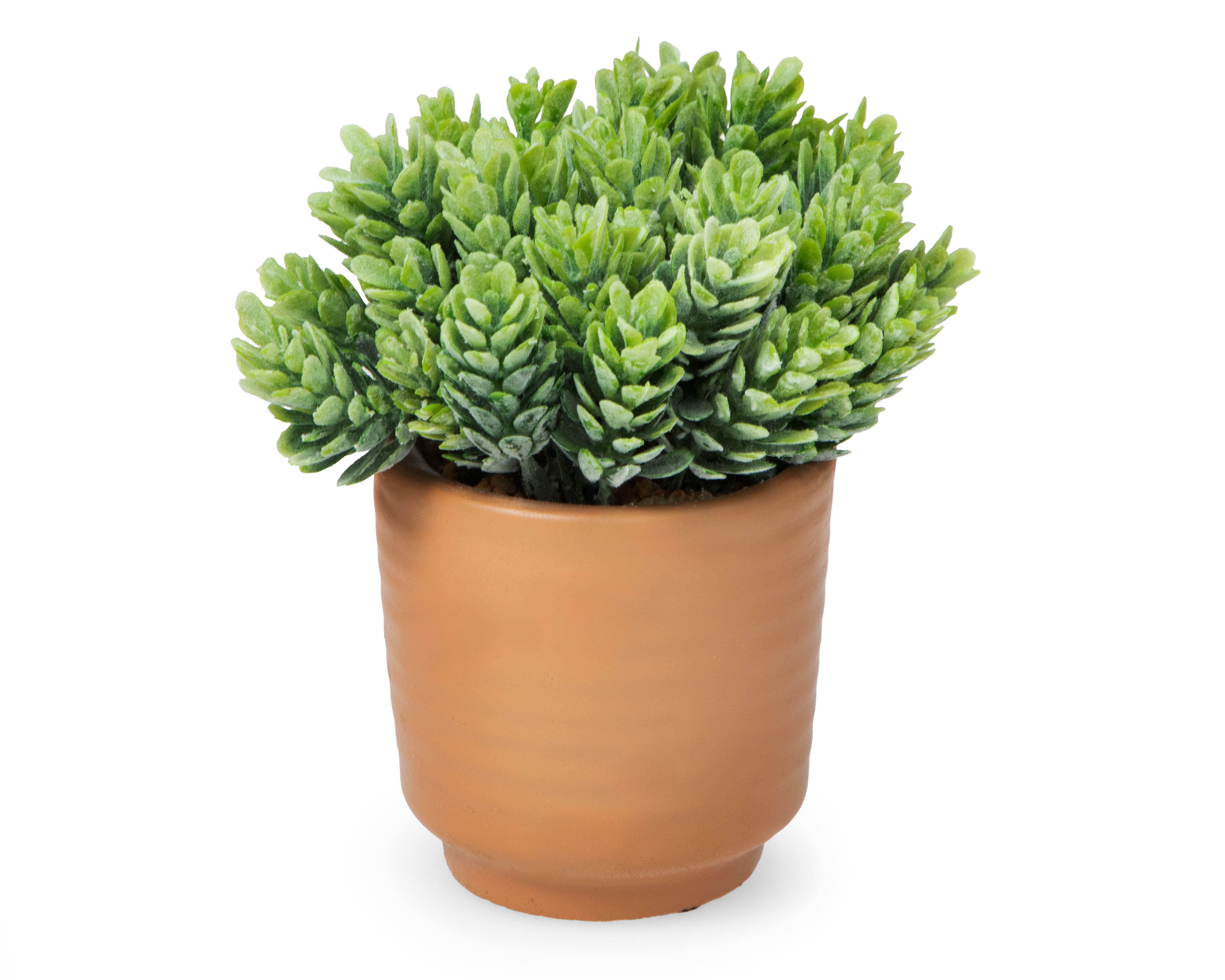 Foto 3 pulgar | Foto 2 | Eucalipto Artificial con Maceta Starhaus 14.5 cm