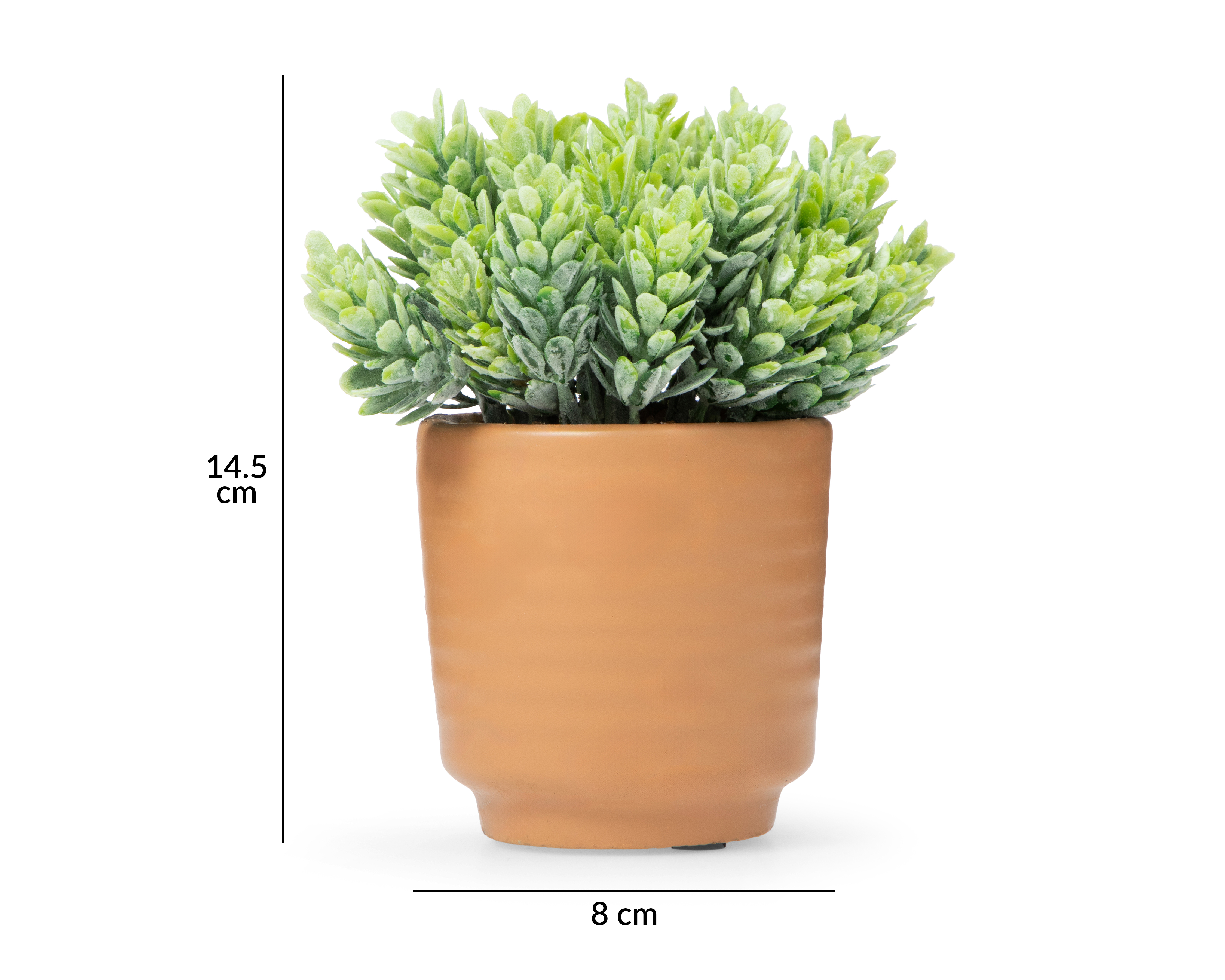 Foto 5 | Foto 5 | Eucalipto Artificial con Maceta Starhaus 14.5 cm