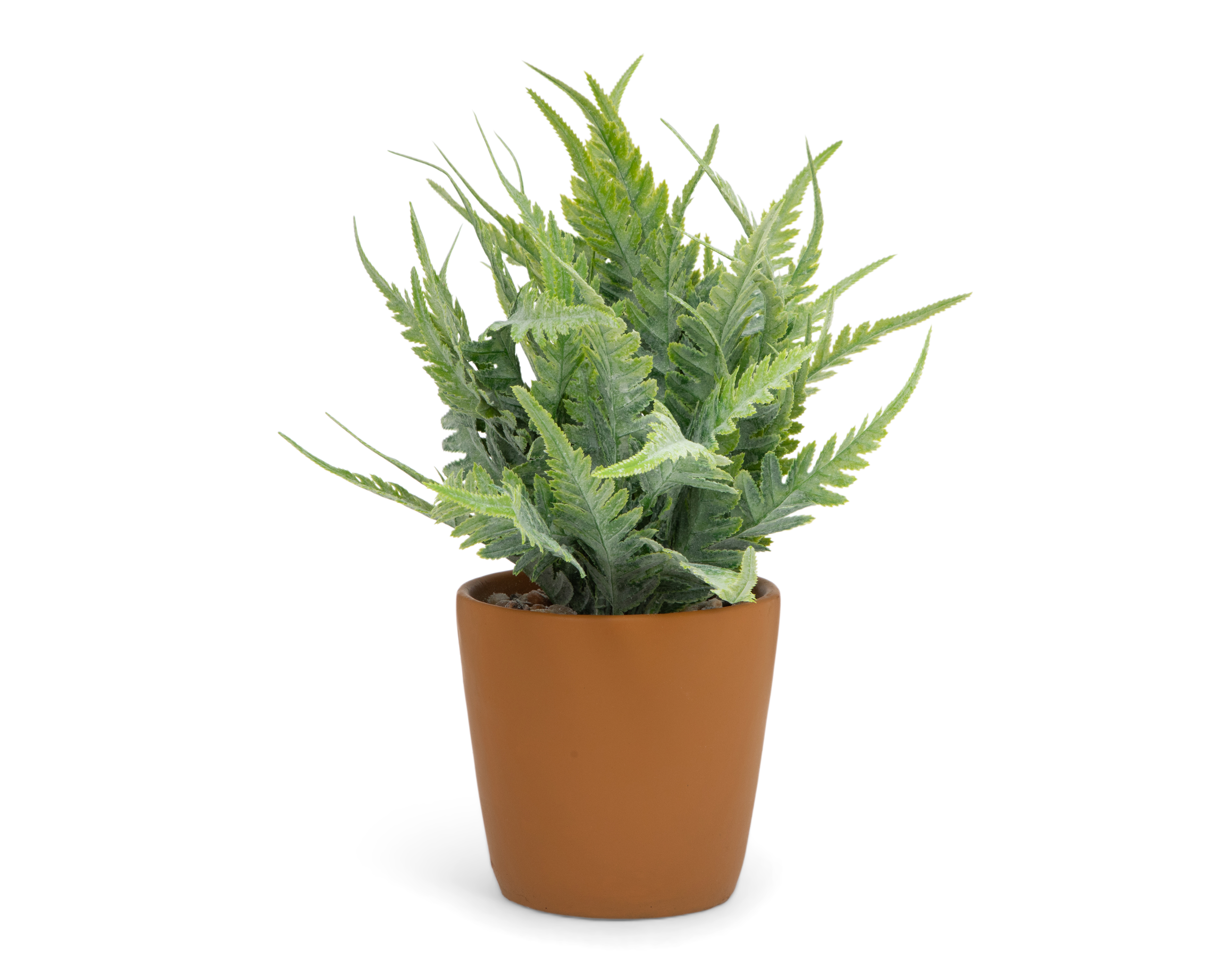 Helecho Decorativo con Maceta Starhaus 36 cm