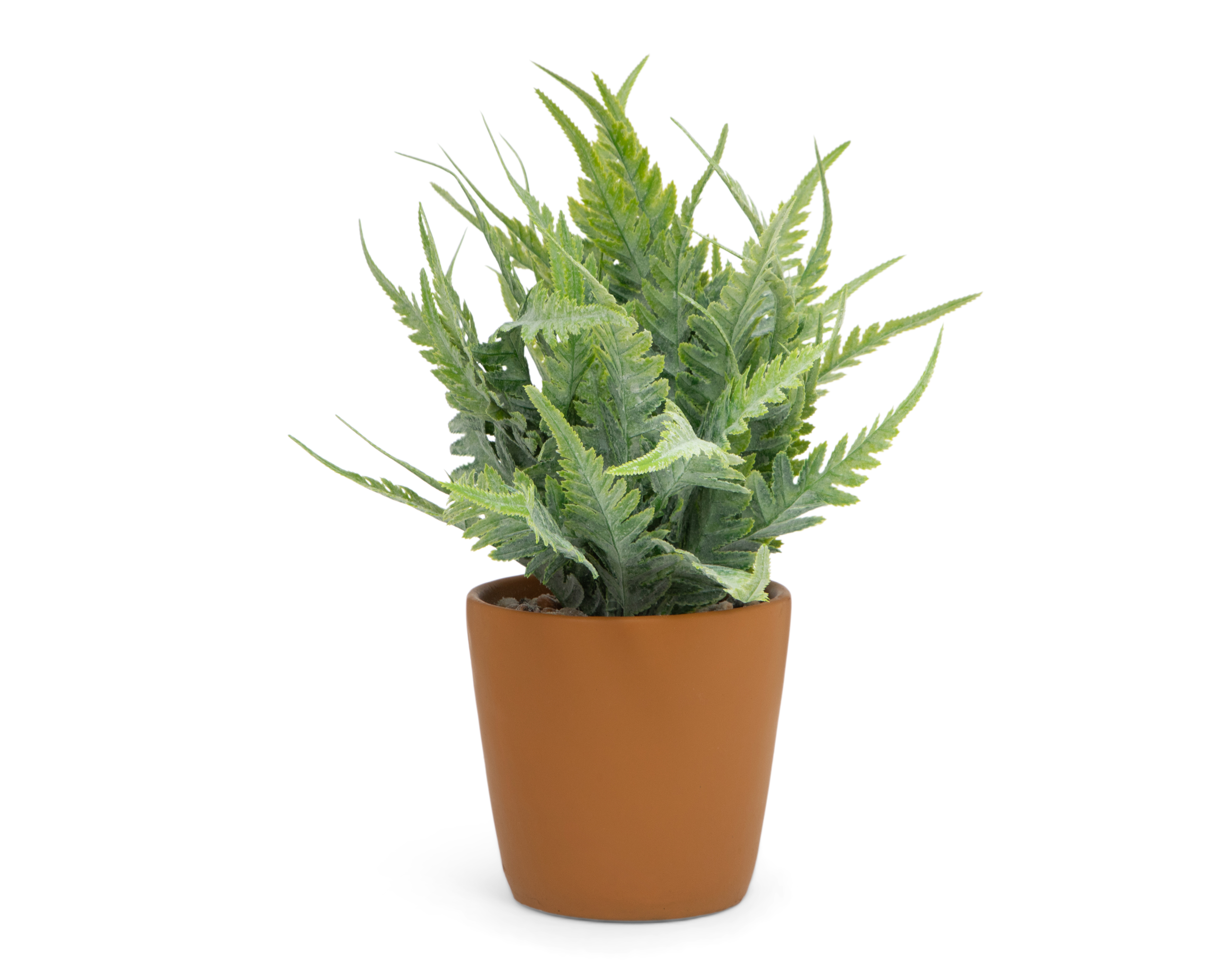 Foto 2 | Foto 2 | Helecho Decorativo con Maceta Starhaus 36 cm