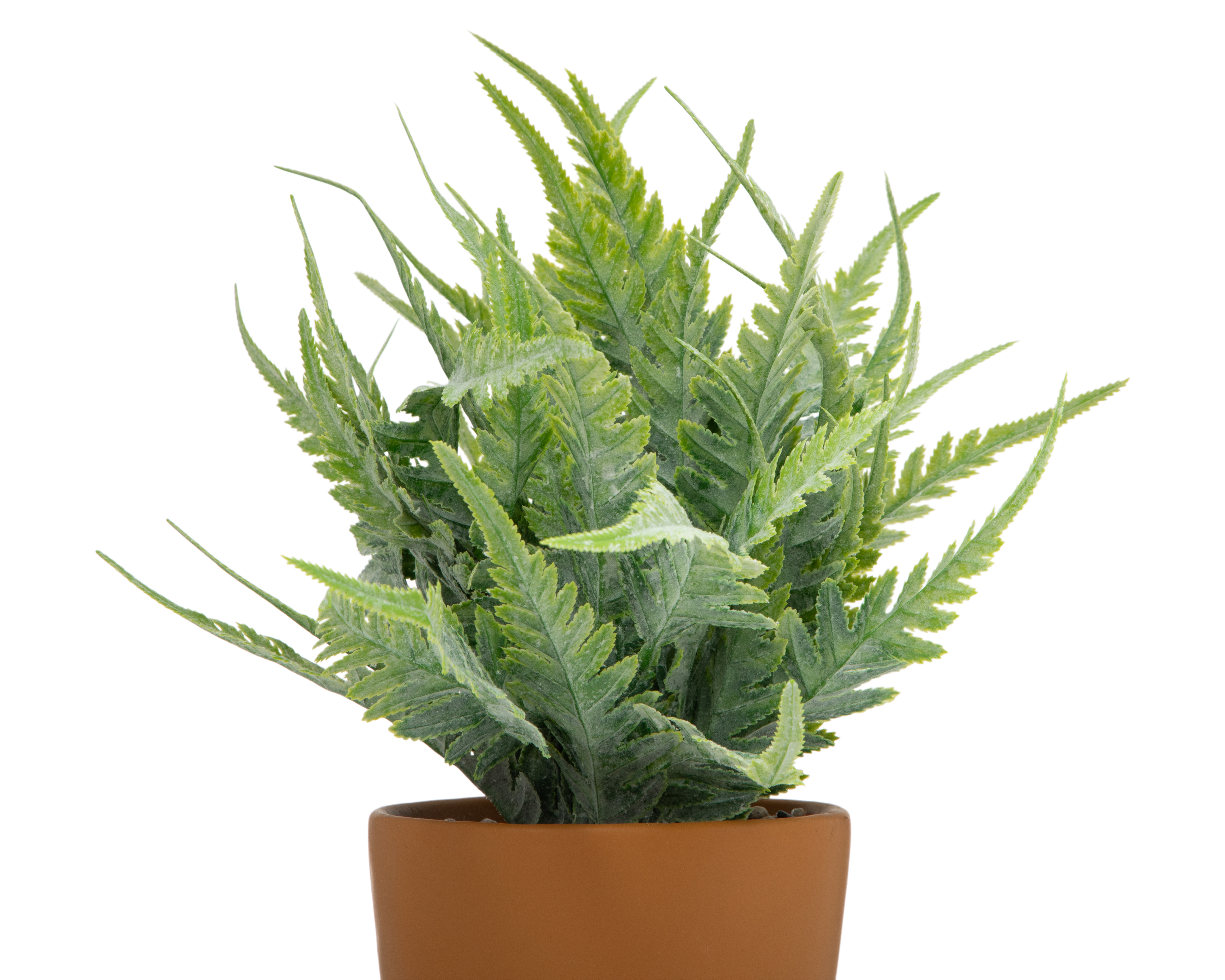 Foto 3 | Foto 3 | Helecho Decorativo con Maceta Starhaus 36 cm