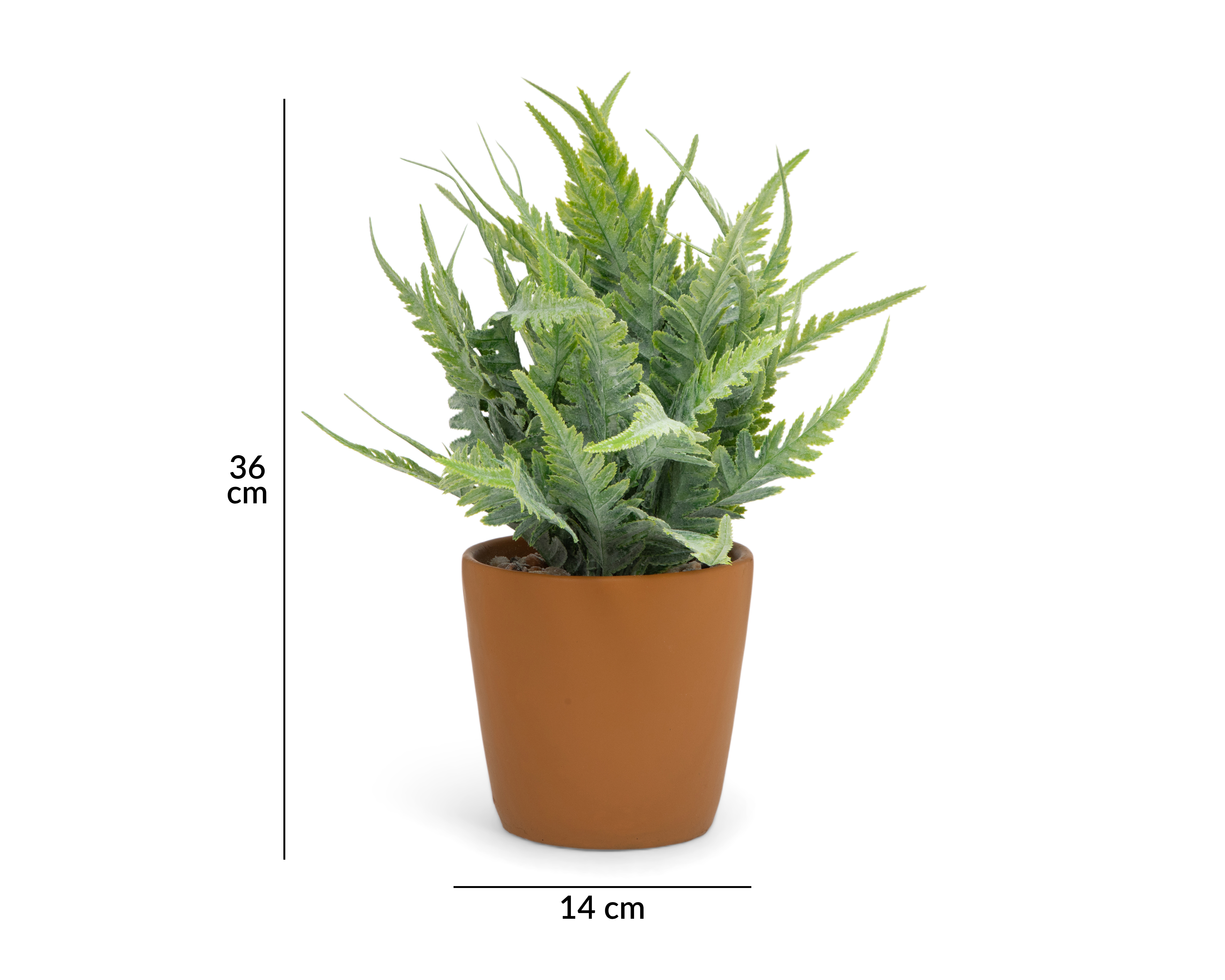 Foto 5 | Foto 5 | Helecho Decorativo con Maceta Starhaus 36 cm