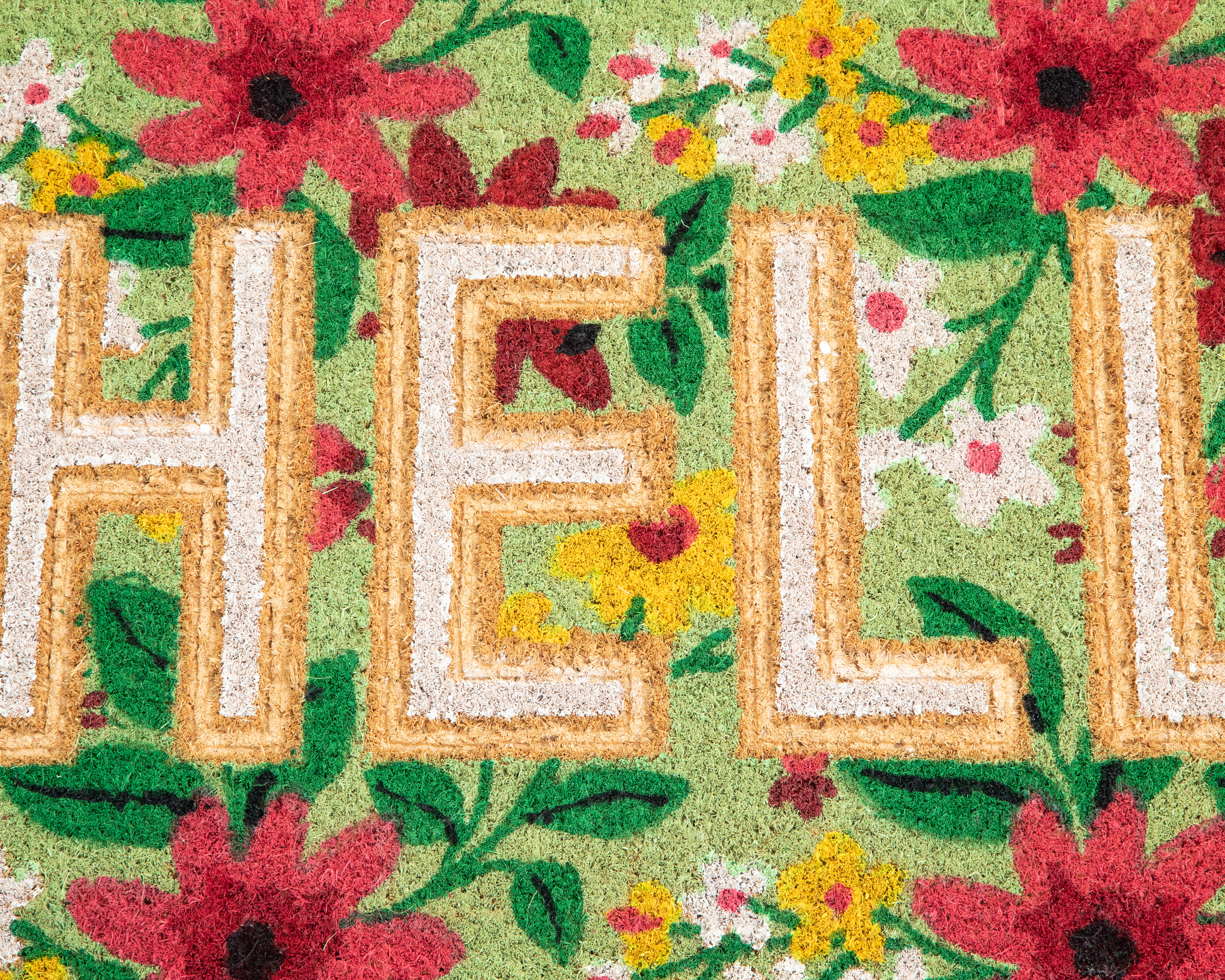 Foto 4 pulgar | Foto 3 | Tapete de Entrada Fago 75 x 45 cm