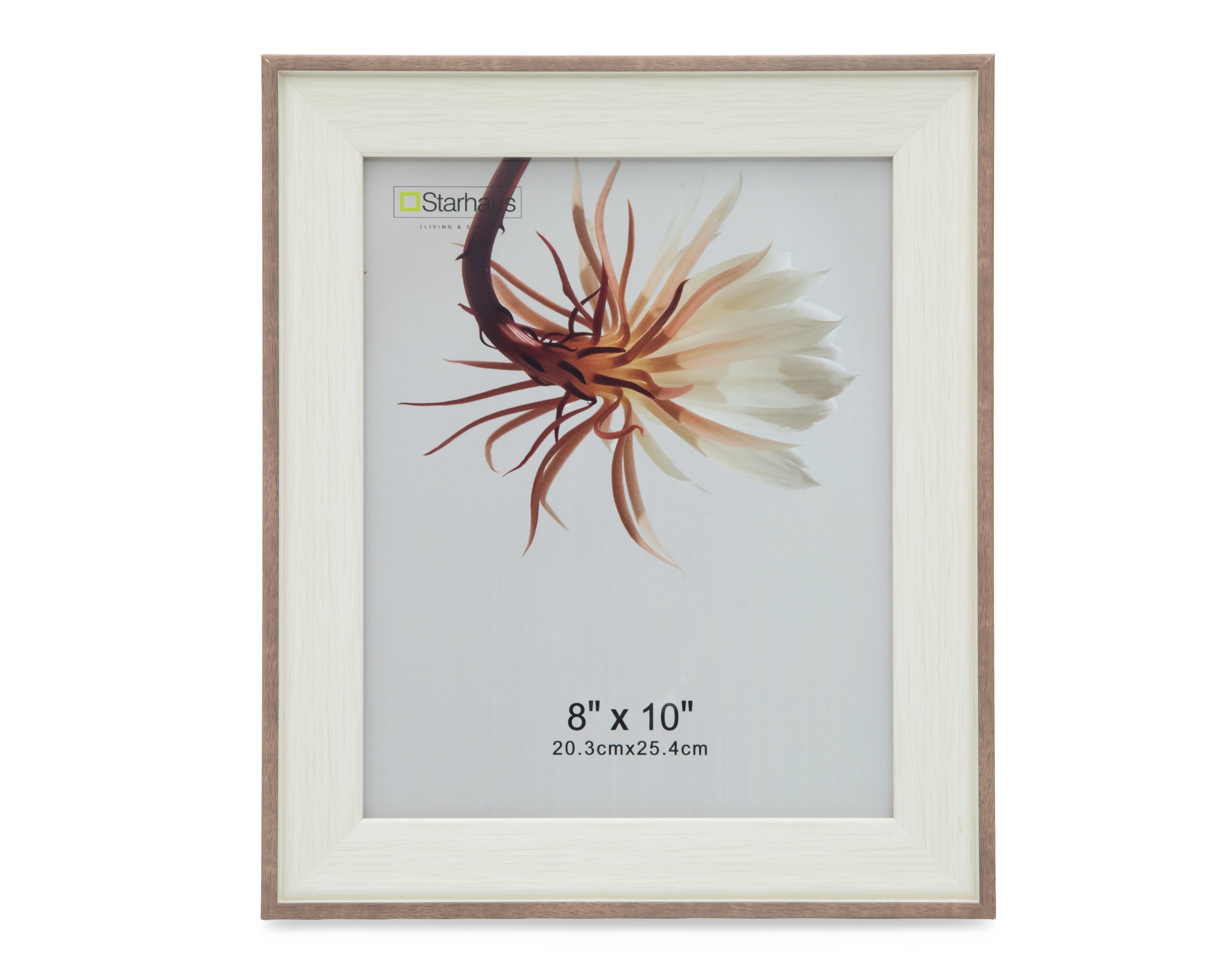 Portarretrato de Poliestireno Starhaus 8 x 10 Pulgadas