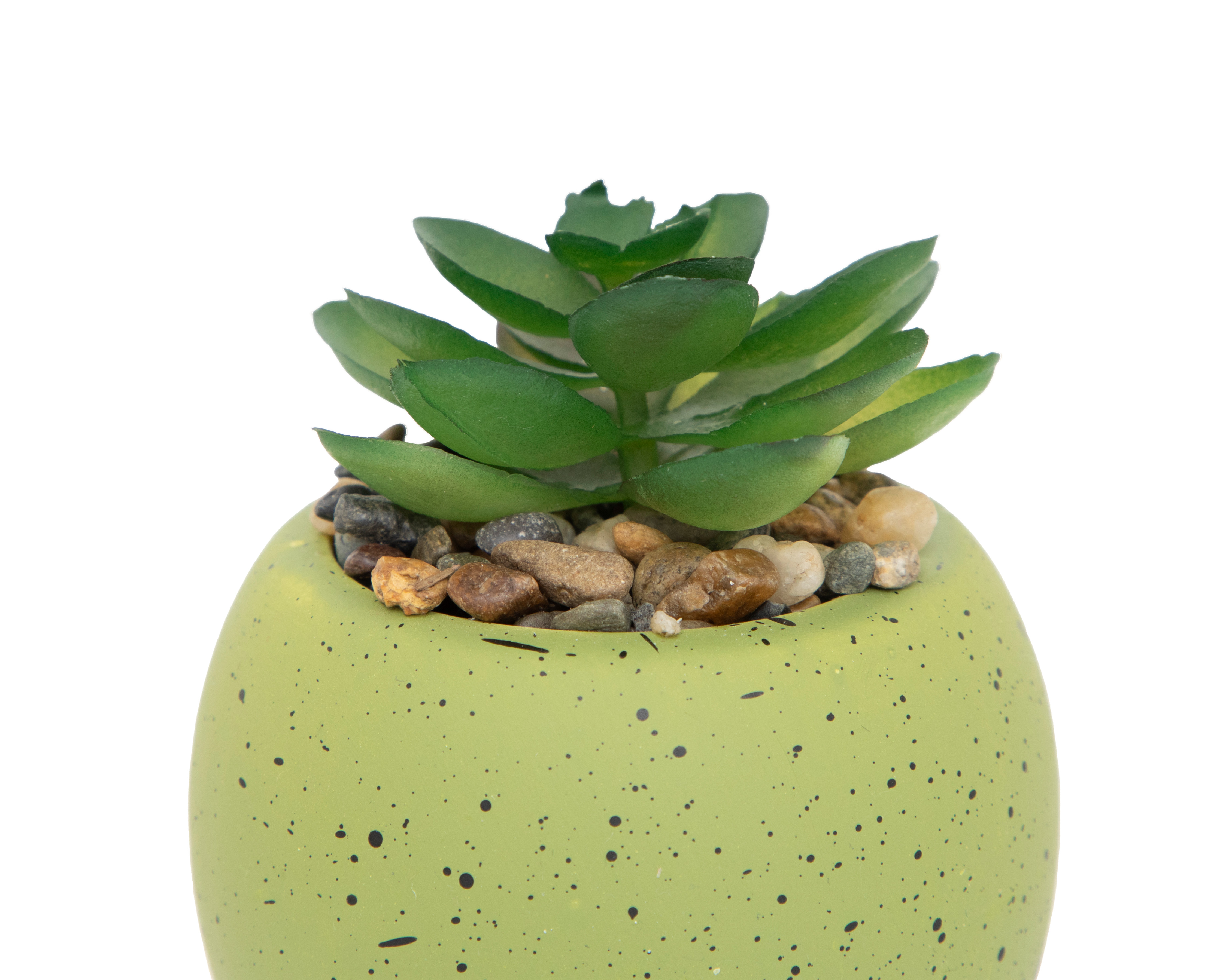 Foto 4 pulgar | Foto 3 | Suculenta Artificial con Maceta Starhaus 9 cm