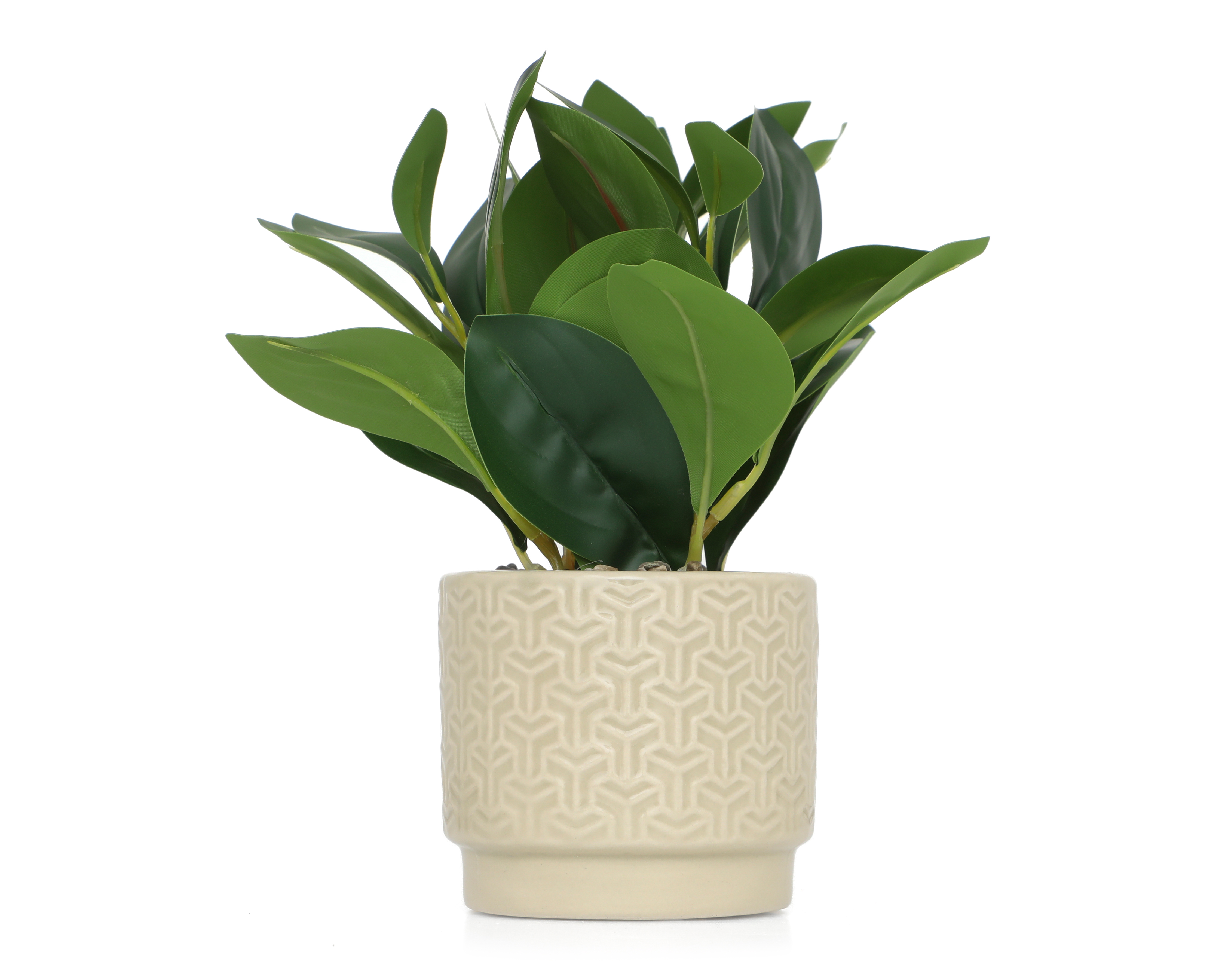 Ficus Artificial con Maceta Starhaus 21 cm