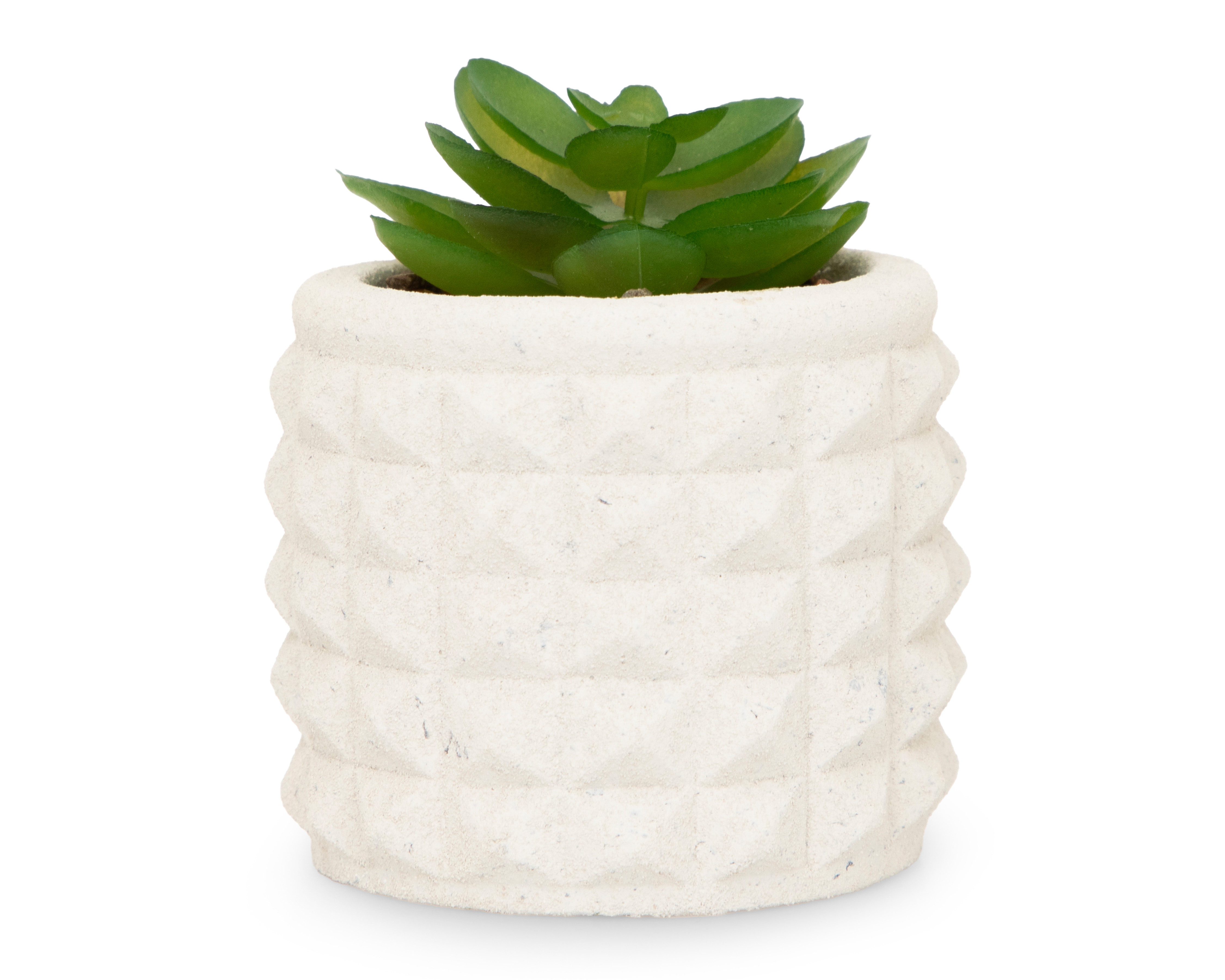 Suculenta Artificial con Maceta Starhaus 9 cm