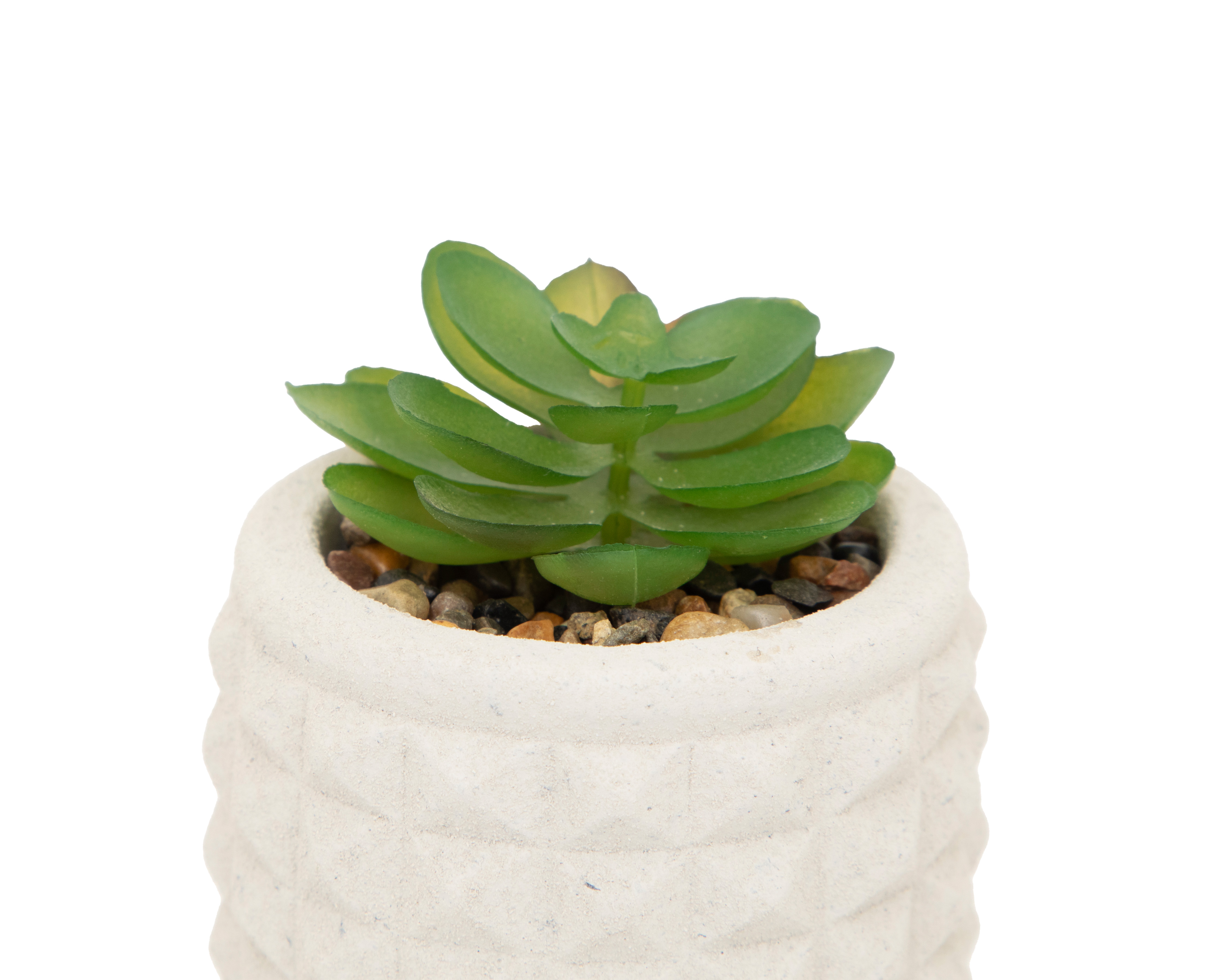 Foto 3 | Foto 3 | Suculenta Artificial con Maceta Starhaus 9 cm