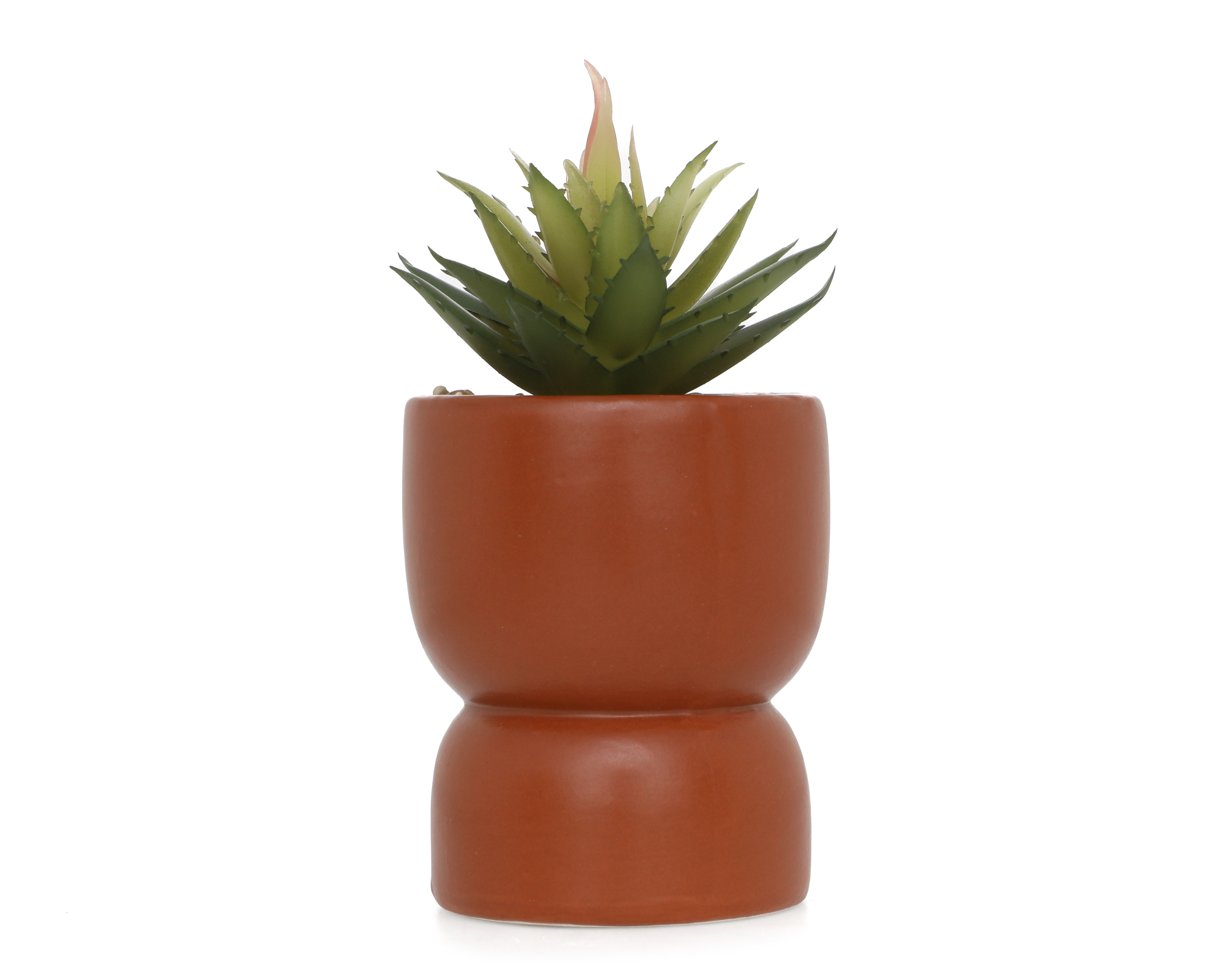 Suculenta Artificial Starhaus Luke 14 cm