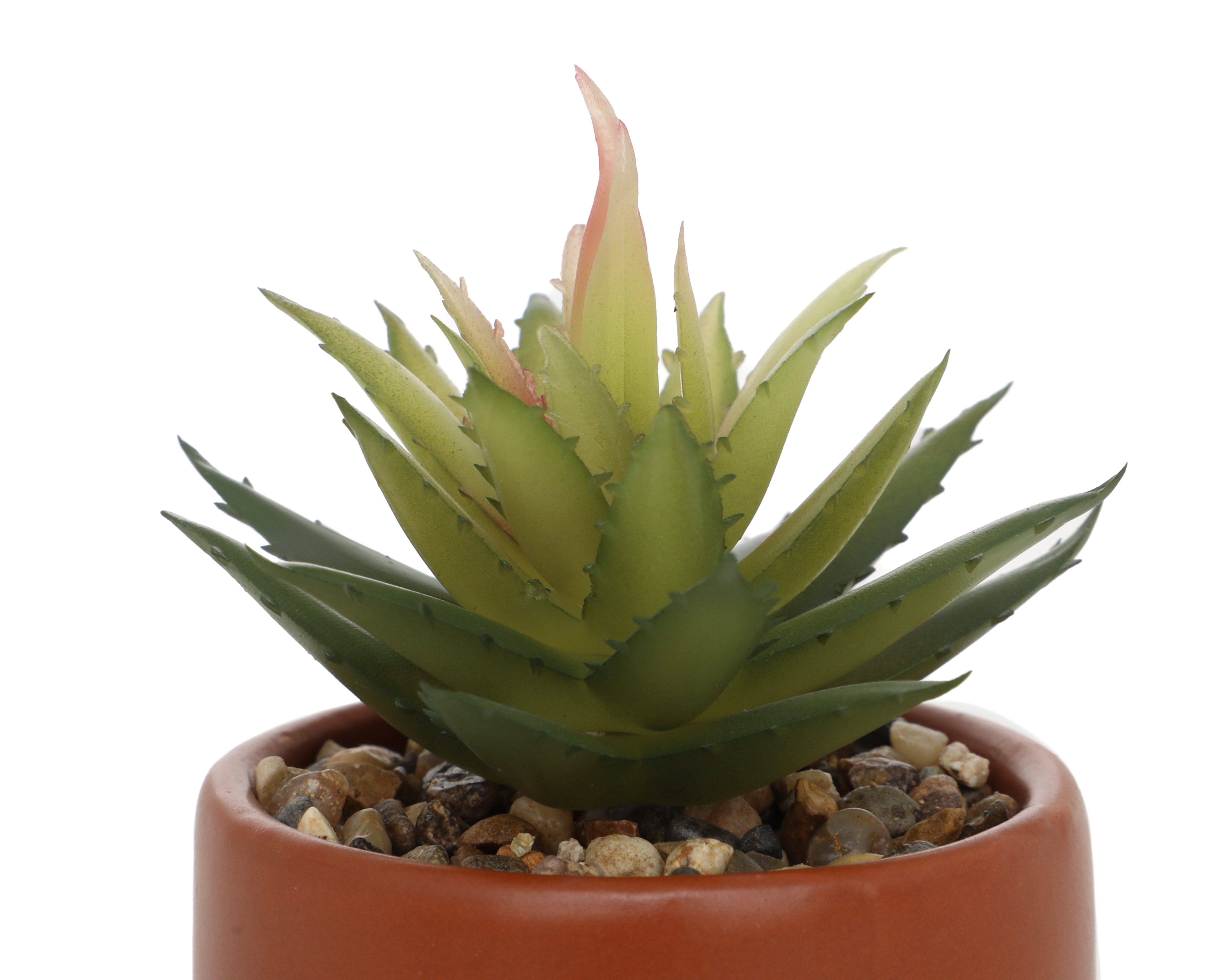 Foto 3 | Foto 3 | Suculenta Artificial Starhaus Luke 14 cm