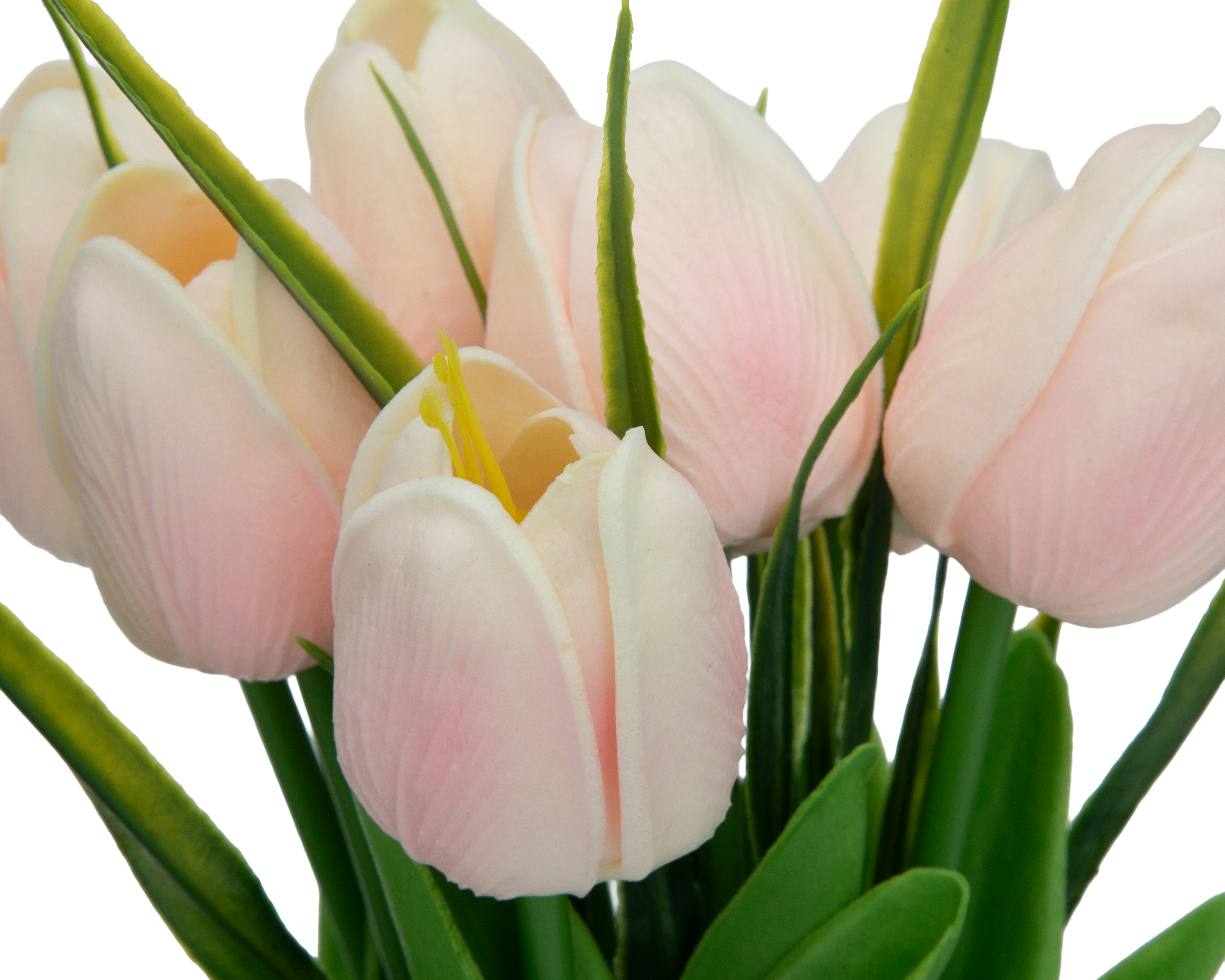 Foto 3 | Foto 3 | Florero de Vidrio Starhaus Paulina