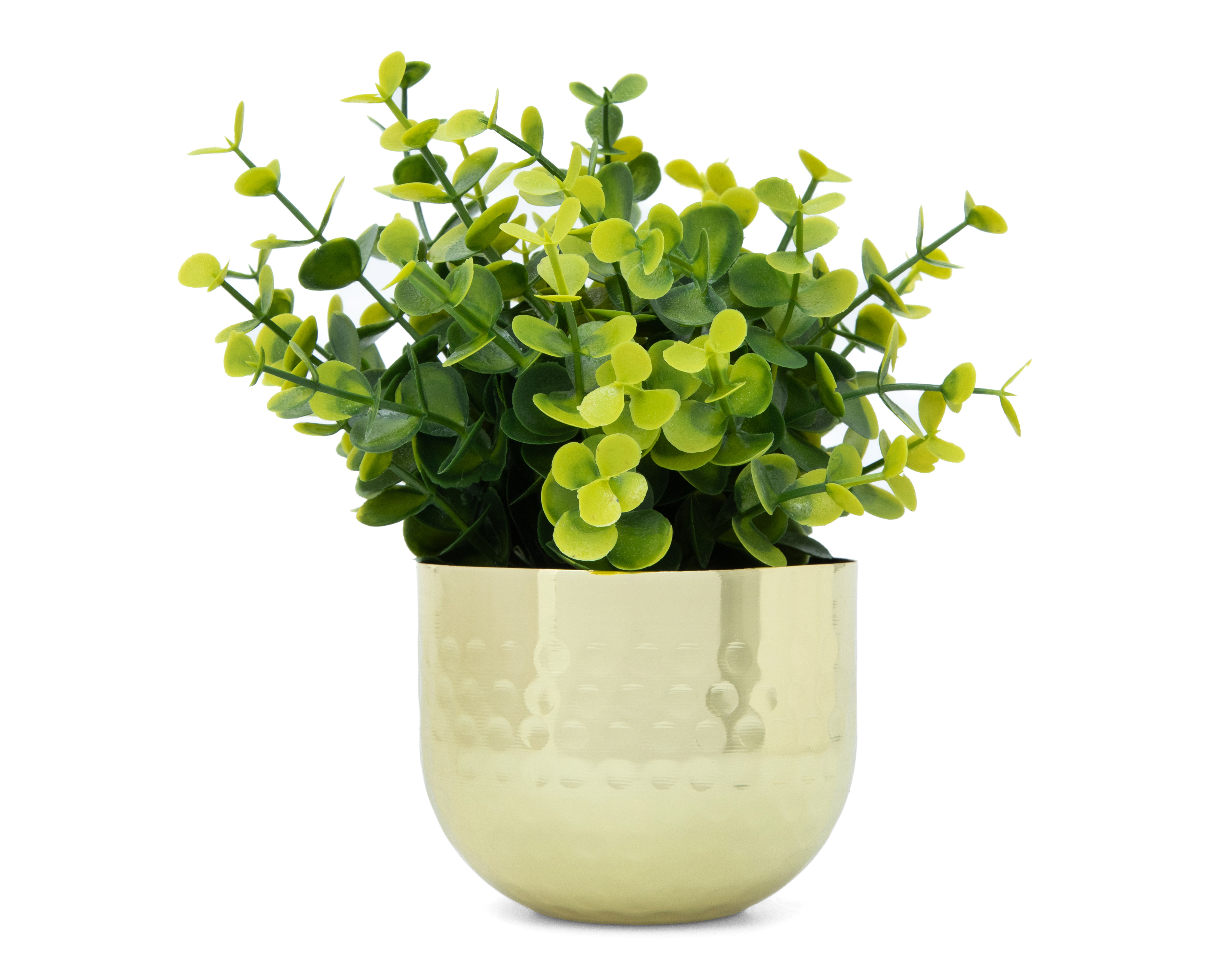 Foto 2 pulgar | Foto 1 | Eucalipto Artificial con Maceta 19 cm