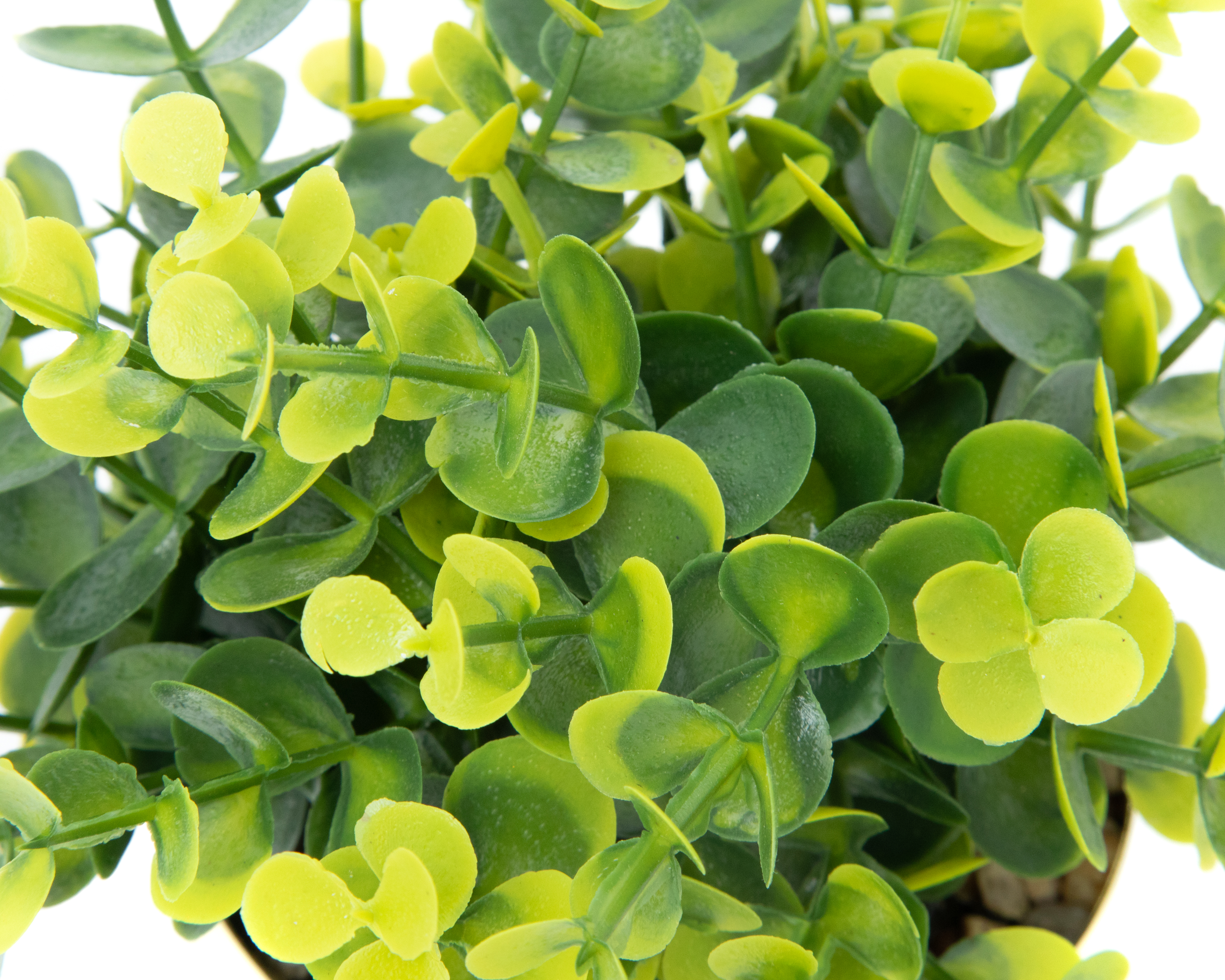 Foto 4 pulgar | Foto 3 | Eucalipto Artificial con Maceta 19 cm