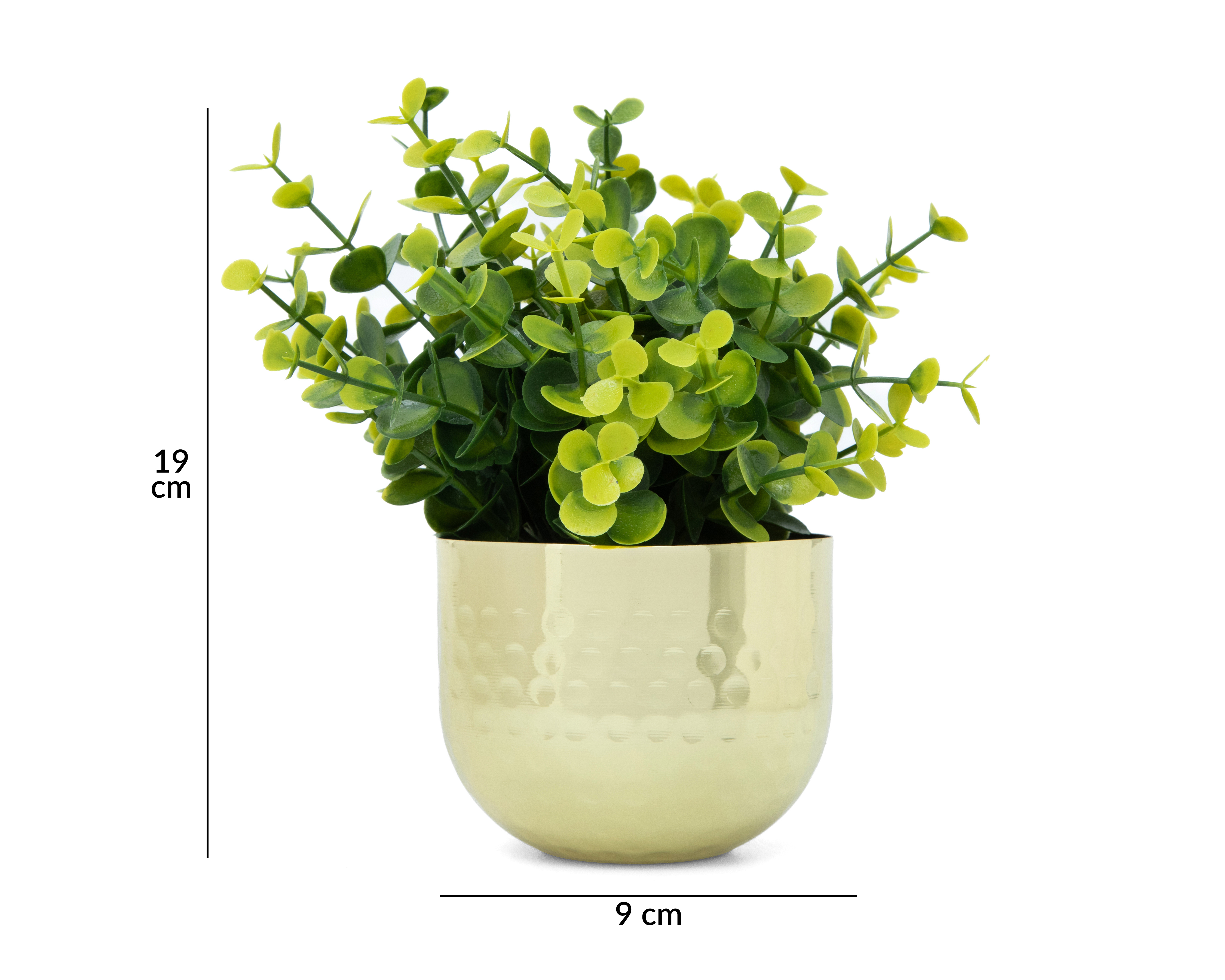 Foto 5 | Foto 5 | Eucalipto Artificial con Maceta 19 cm