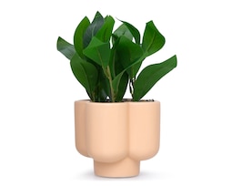 Ciruelo Artificial con Maceta Starhaus 22.5 cm