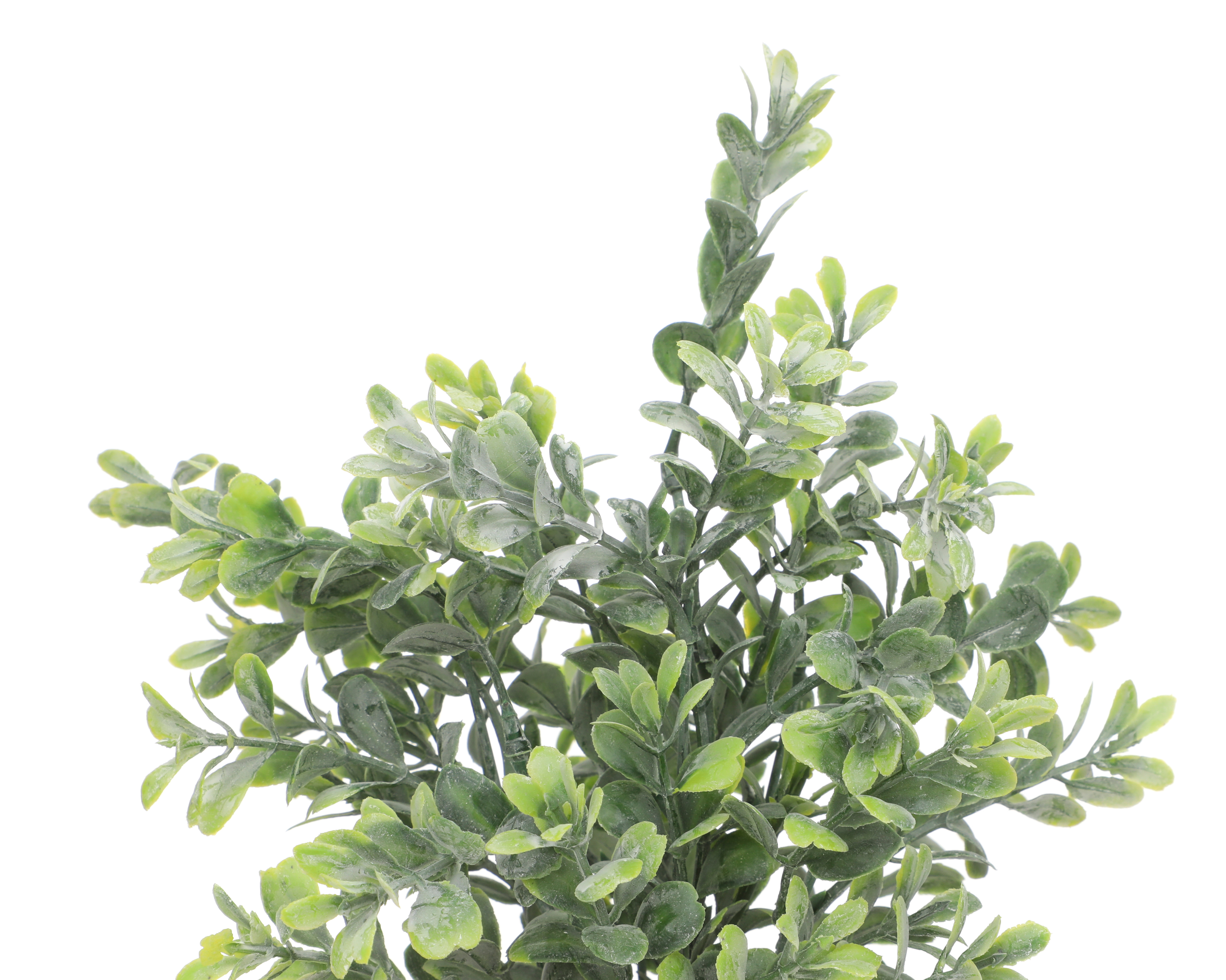 Foto 3 | Foto 3 | Buxus Artificial con Maceta Starhaus 31 cm