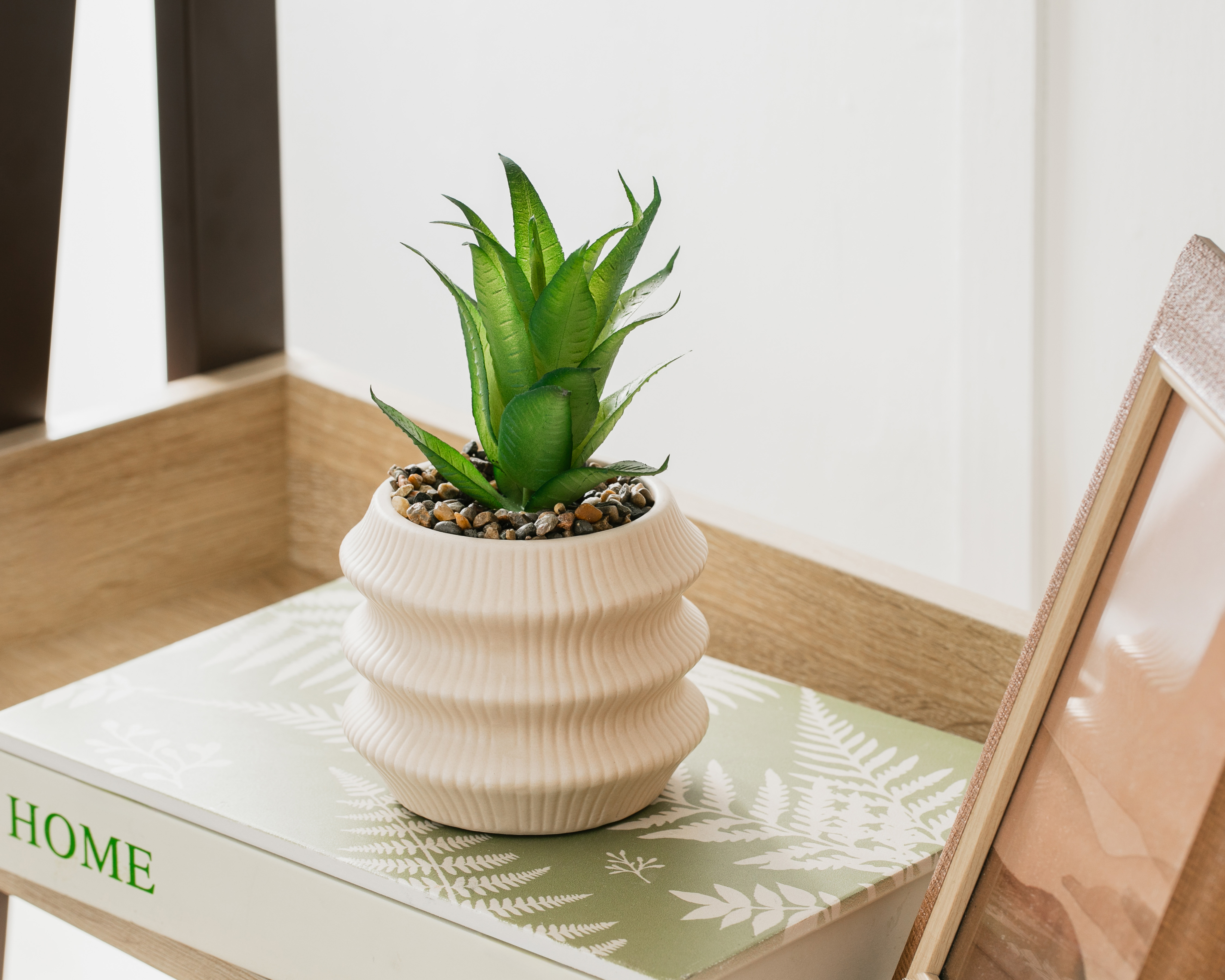 Foto 5 pulgar | Foto 4 | Suculenta Artificial con Maceta Starhaus 18 cm