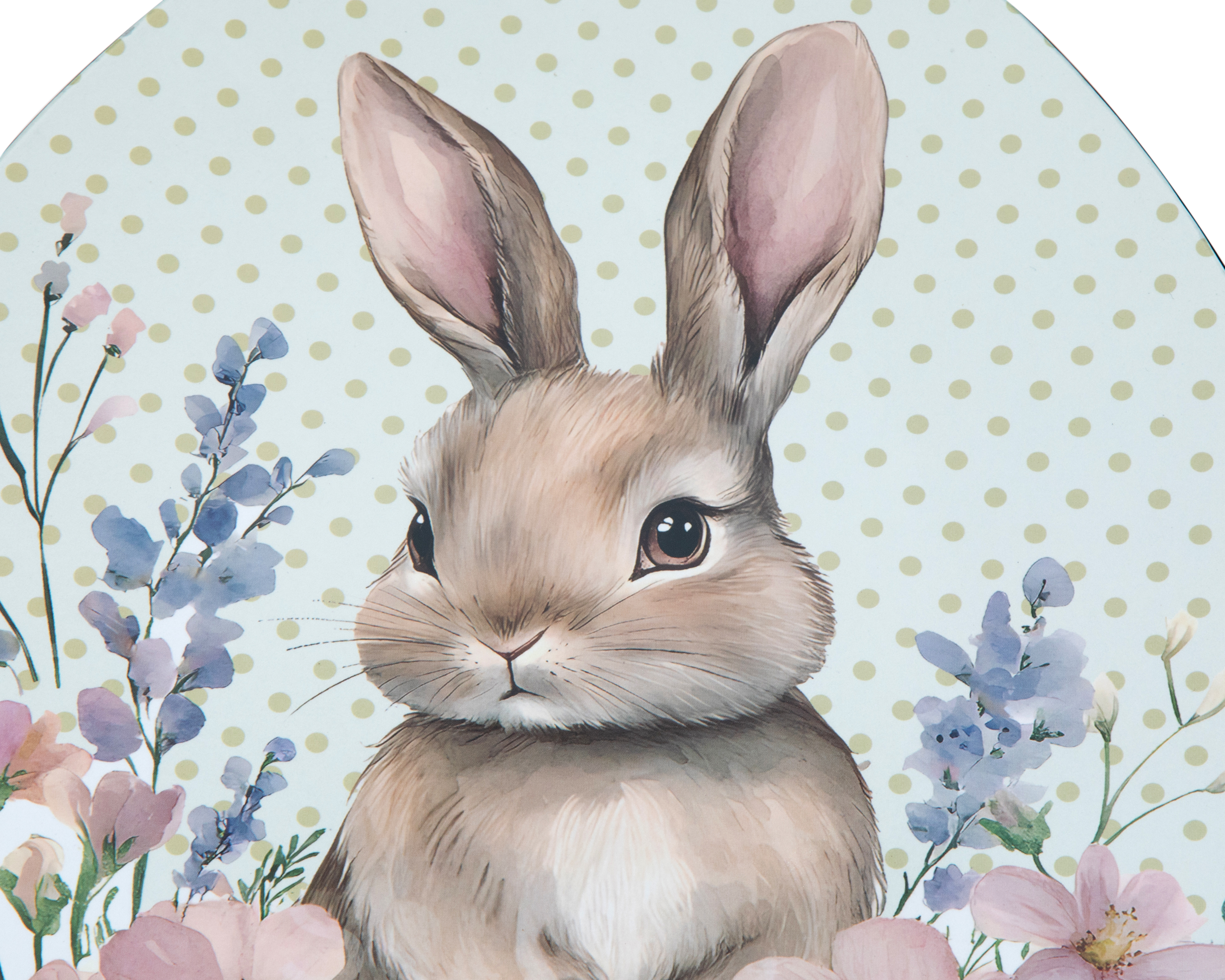 Foto 3 | Foto 3 | Plato Plano de Plástico Multicolor