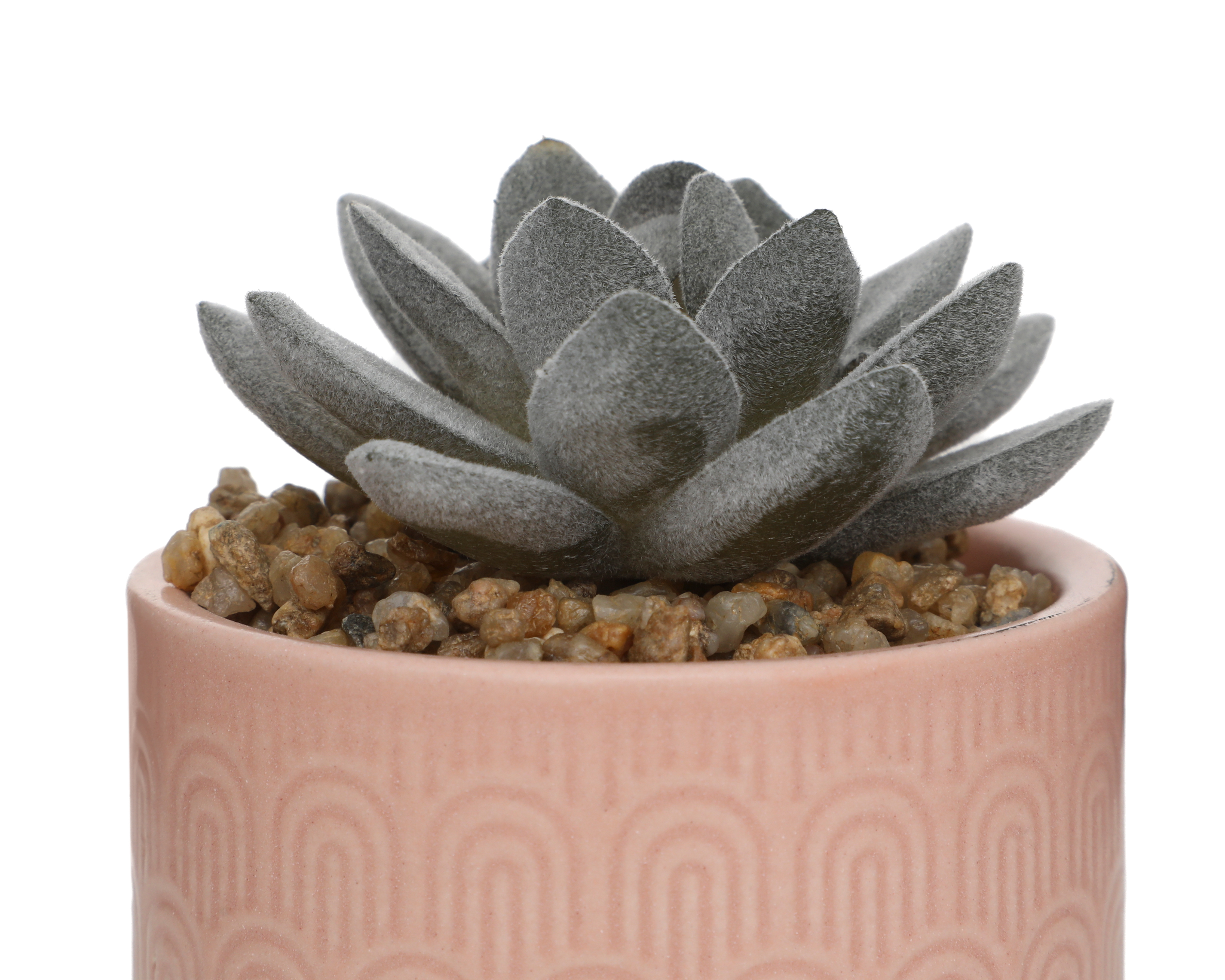 Foto 4 pulgar | Foto 3 | Suculenta Artificial Starhaus Haze 10 cm