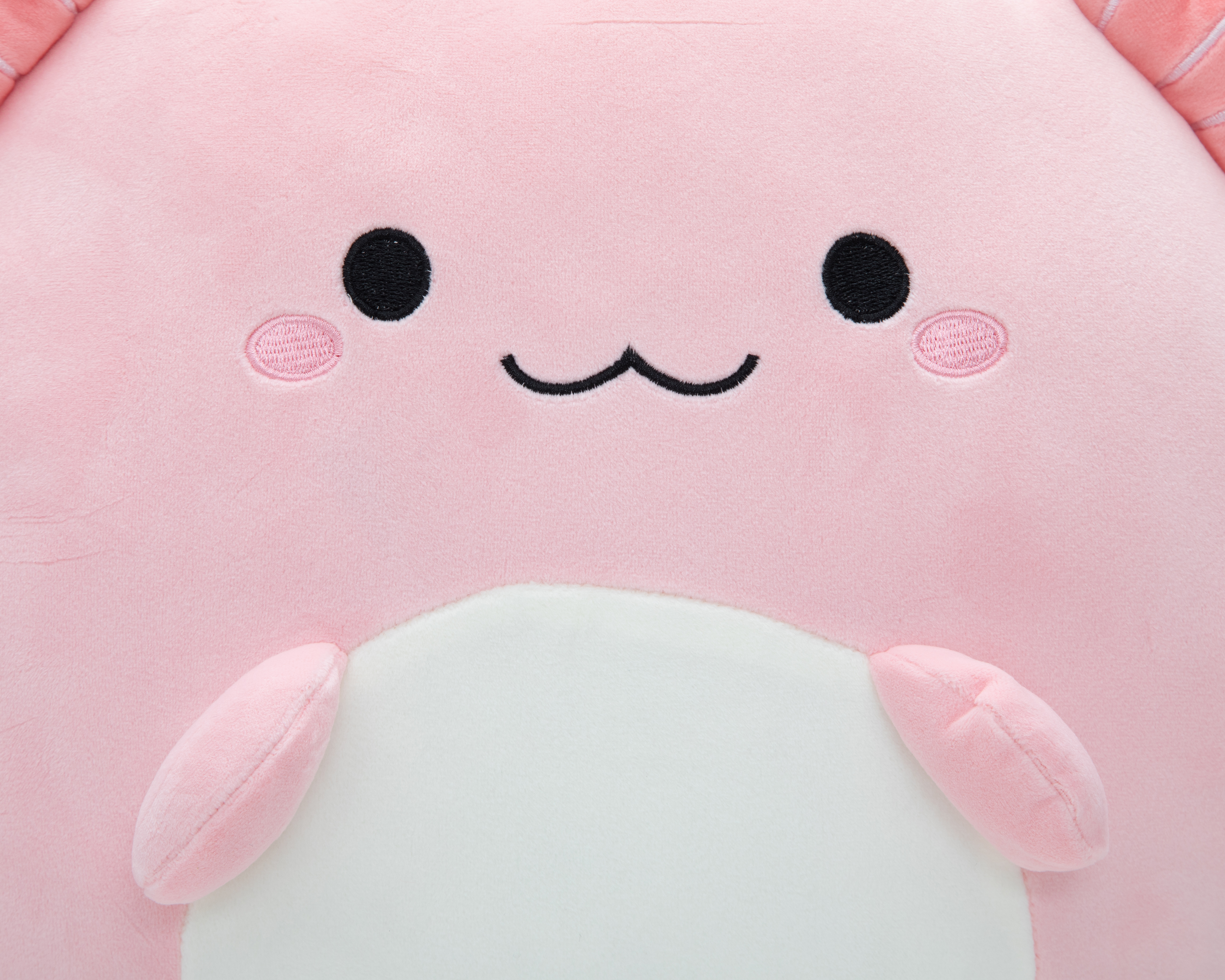 Foto 5 pulgar | Foto 4 | Cojín Decorativo Ajolotito