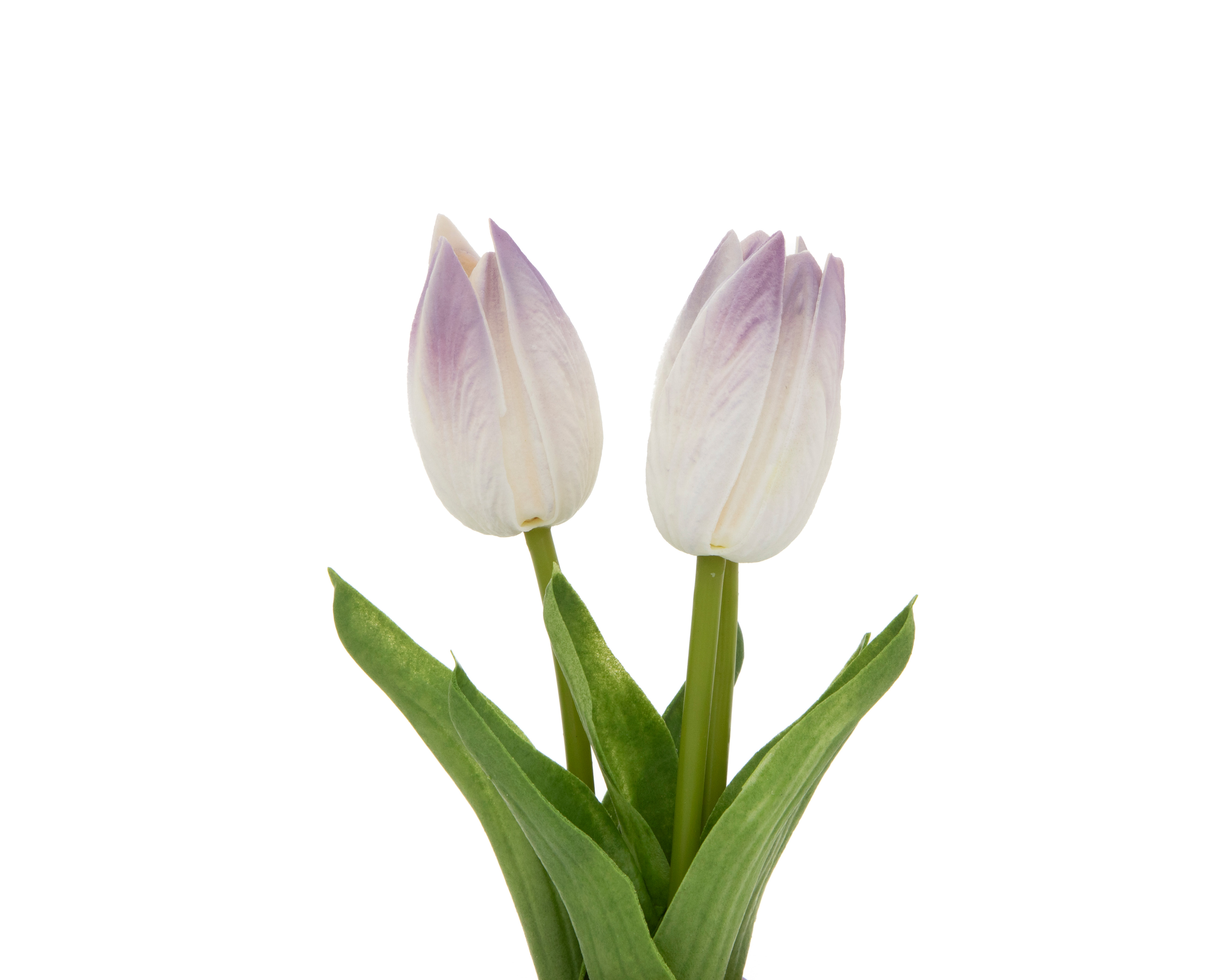 Foto 3 | Foto 3 | Tulipán Artificial con Maceta Starhaus Mika 22 cm