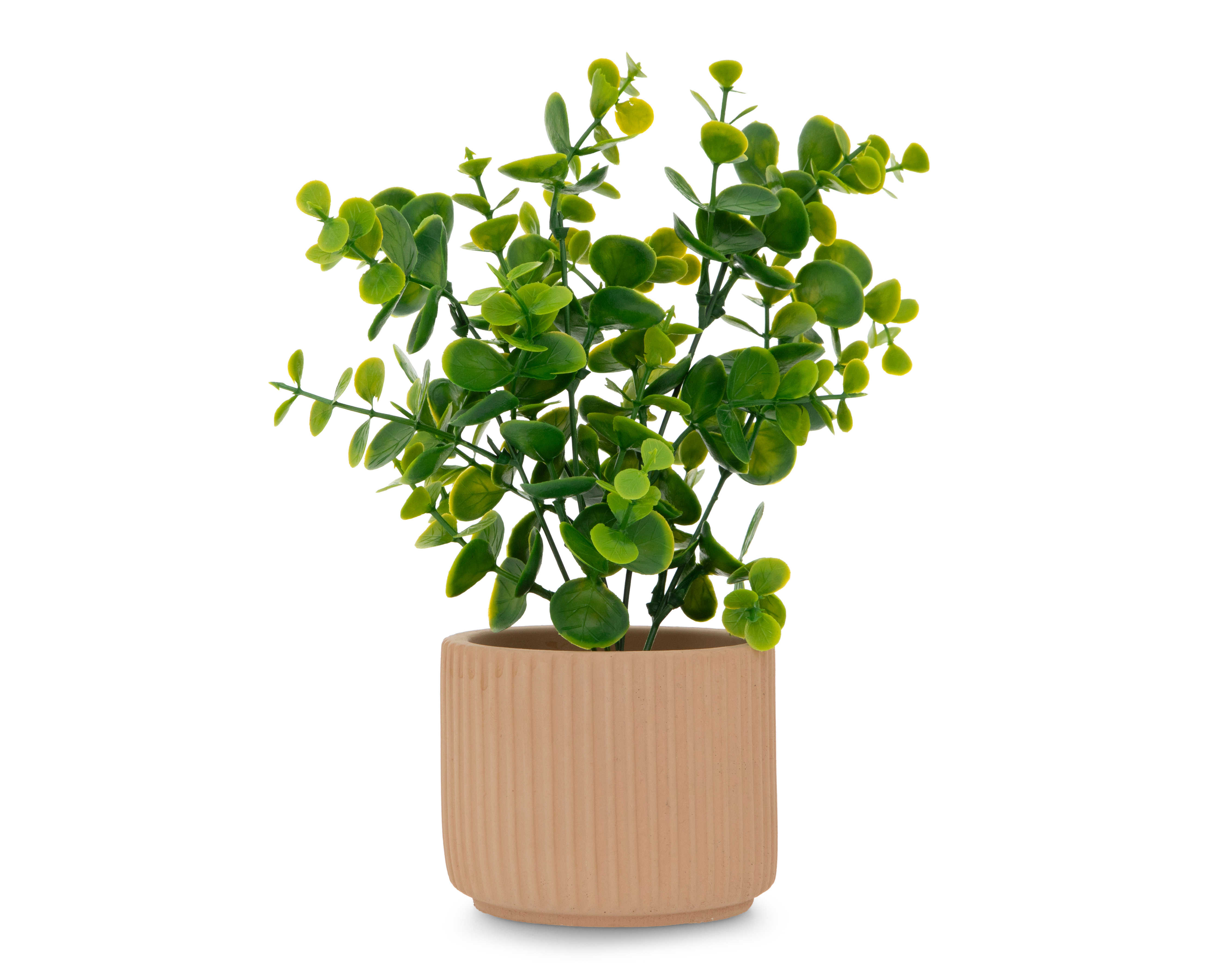 Foto 1 | Foto 1 | Eucalipto Artificial con Maceta Starhaus 24 cm