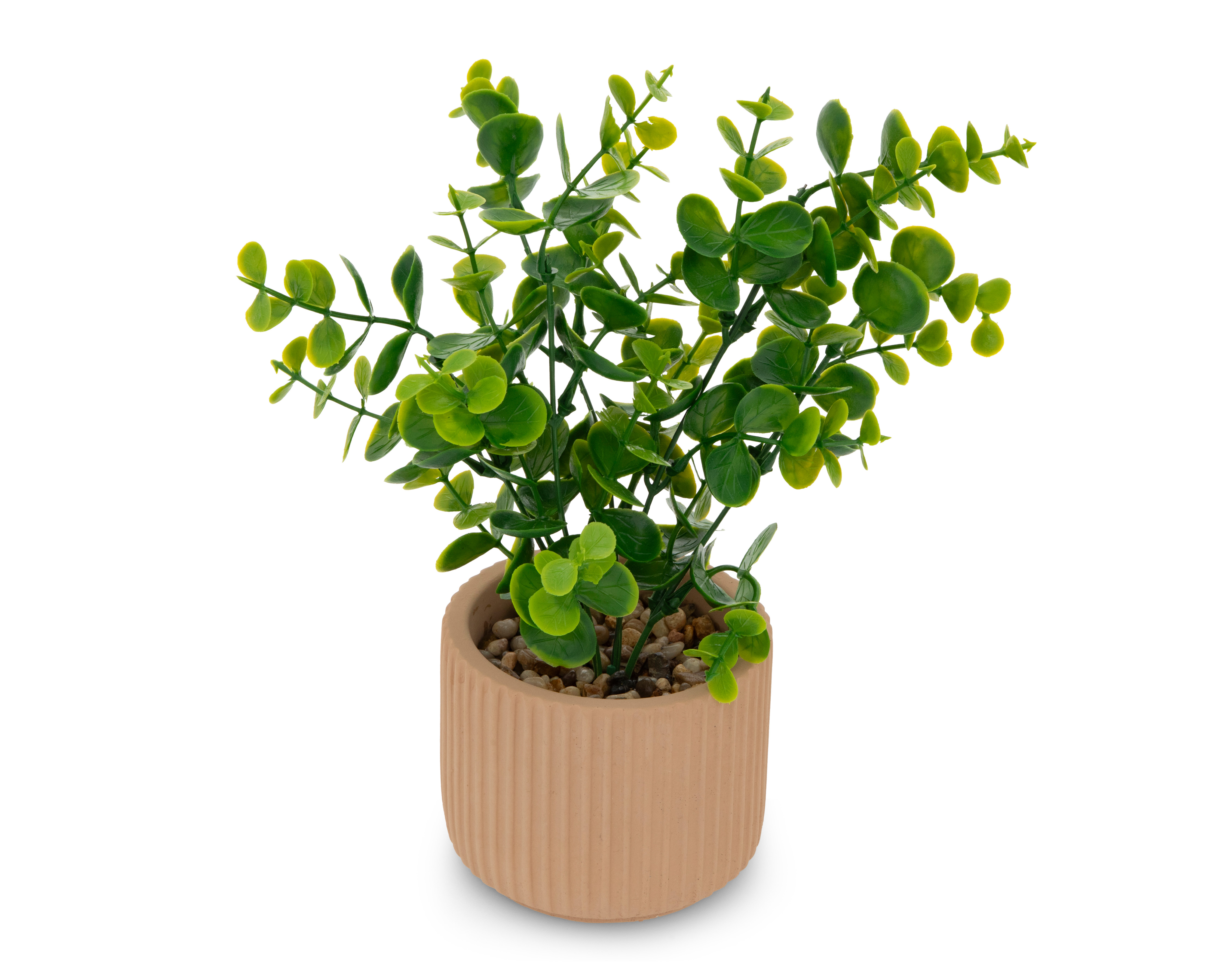 Foto 2 | Foto 2 | Eucalipto Artificial con Maceta Starhaus 24 cm