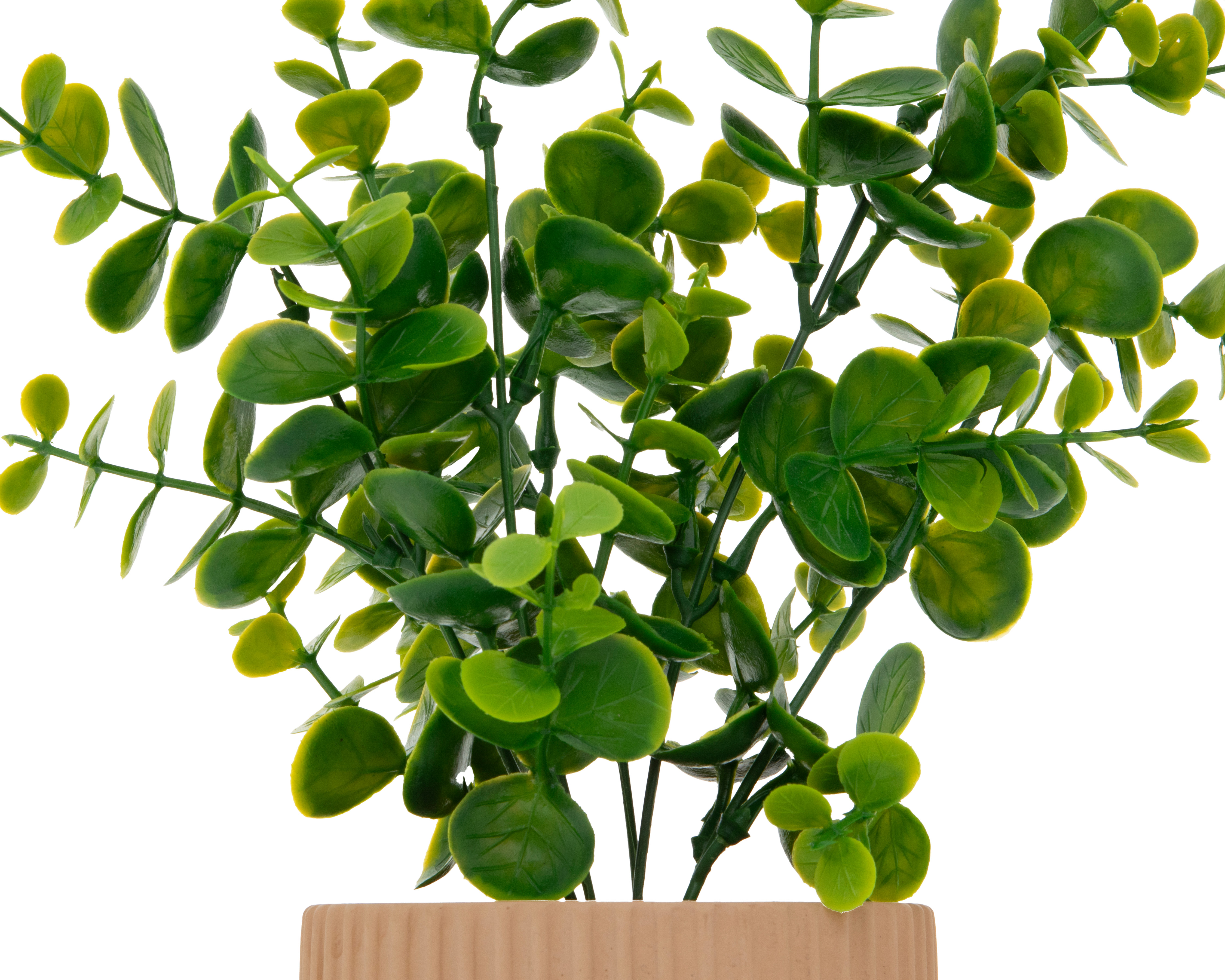 Foto 4 pulgar | Foto 3 | Eucalipto Artificial con Maceta Starhaus 24 cm