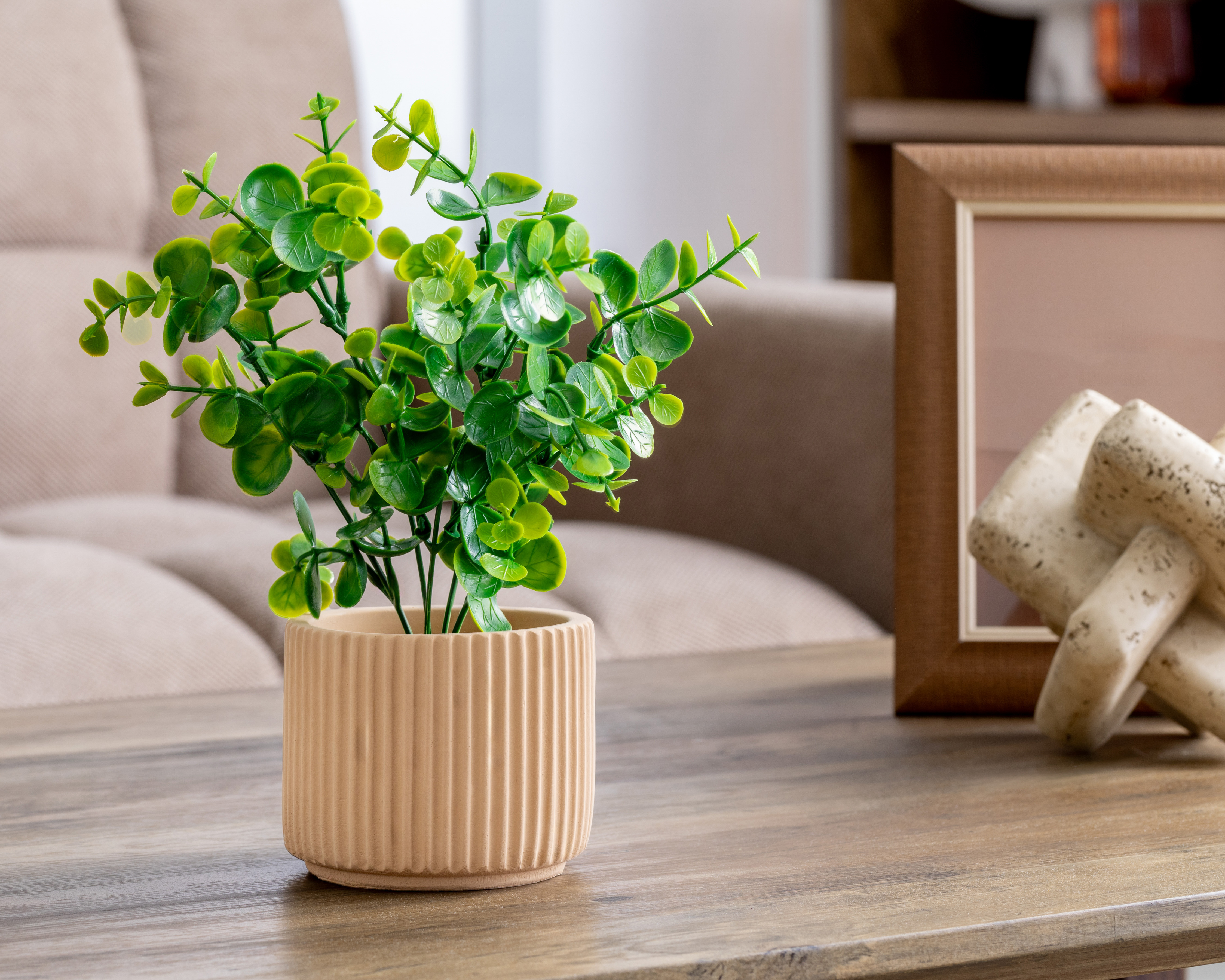 Foto 4 | Foto 4 | Eucalipto Artificial con Maceta Starhaus 24 cm