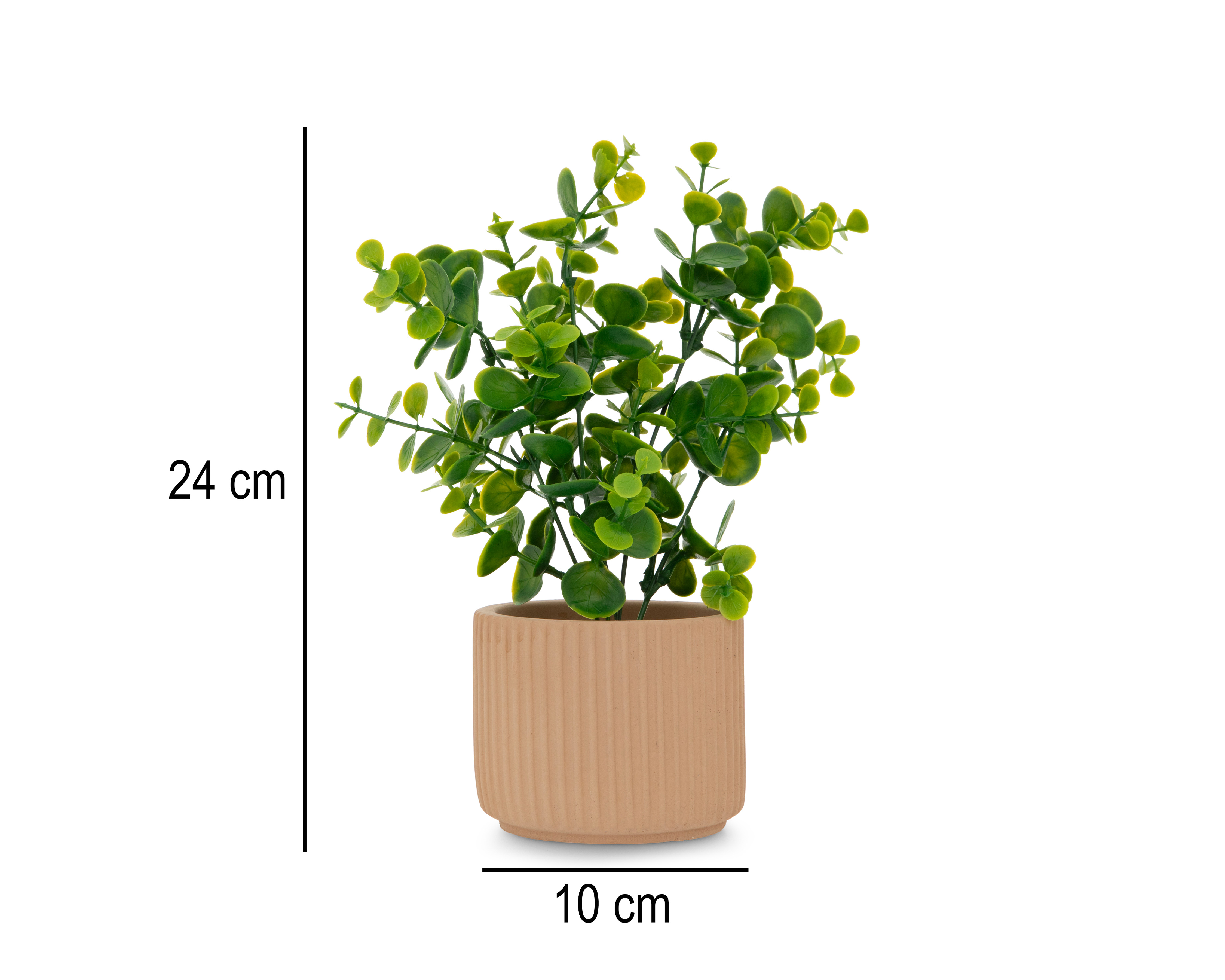 Foto 5 | Foto 5 | Eucalipto Artificial con Maceta Starhaus 24 cm