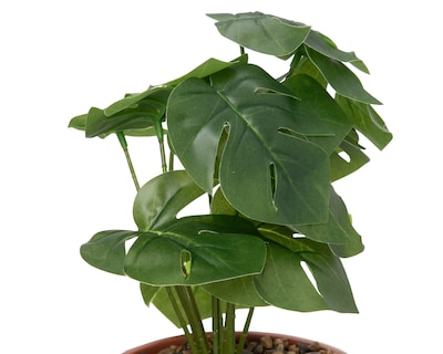 Foto 3 | Foto 3 | Planta Artificial con Maceta Starhaus 29 cm