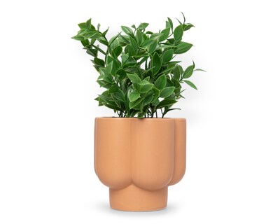 Foto 1 | Foto 1 | Potos Artificial con Maceta Starhaus 27 cm