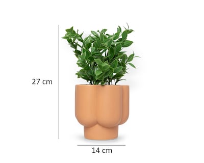 Foto 5 | Foto 5 | Potos Artificial con Maceta Starhaus 27 cm