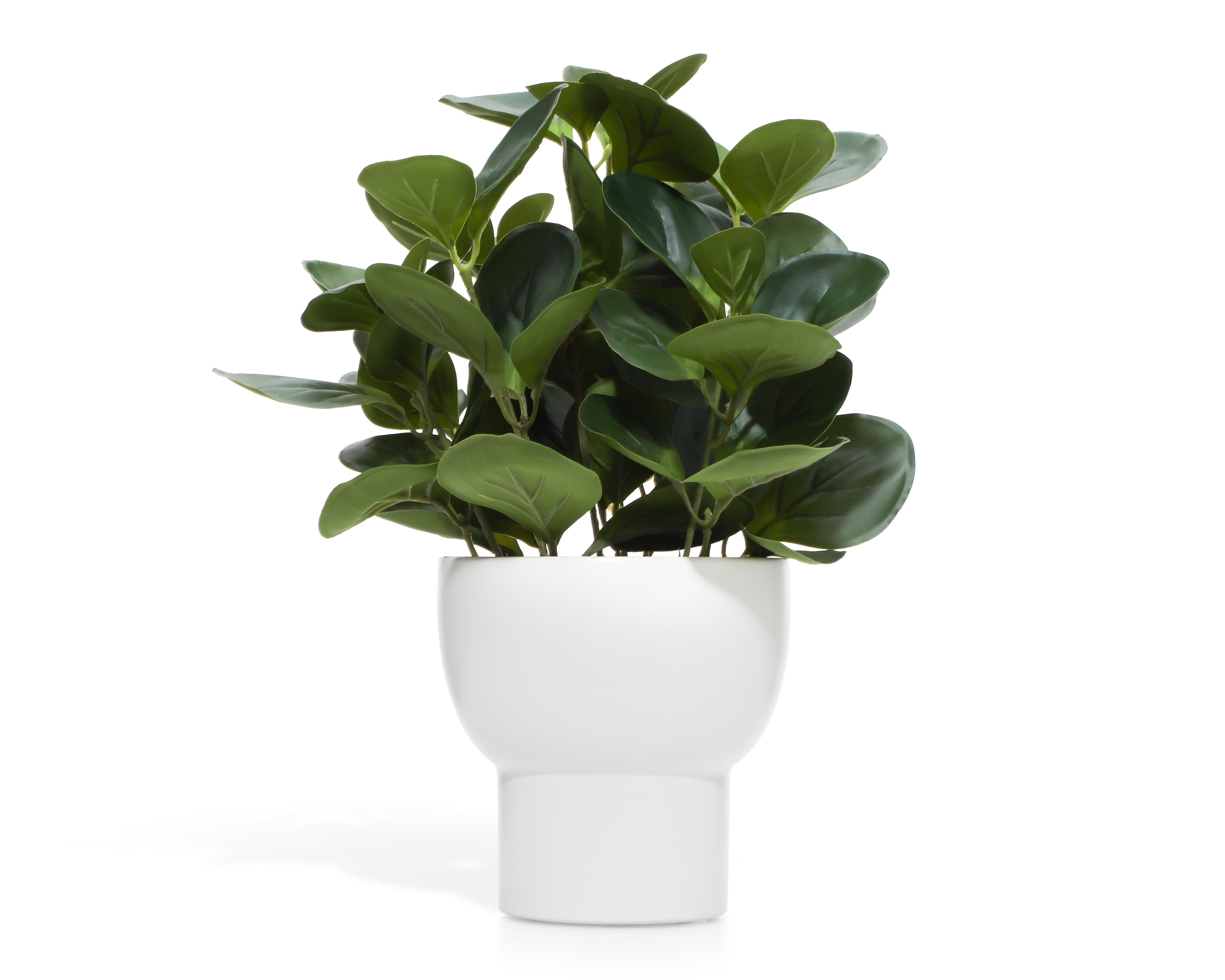 Planta Artificial con Maceta Starhaus 34 cm