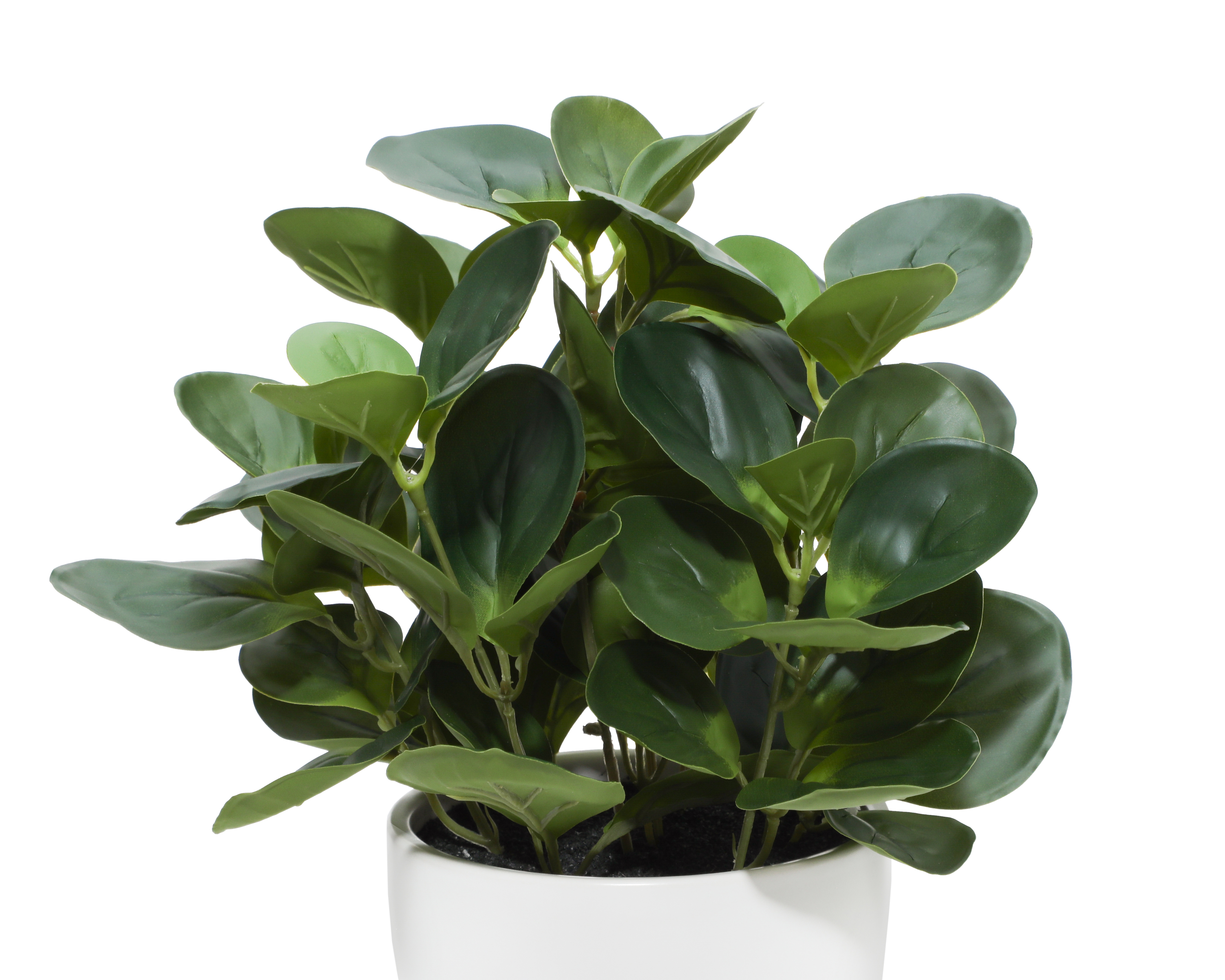 Foto 3 | Foto 3 | Planta Artificial con Maceta Starhaus 34 cm