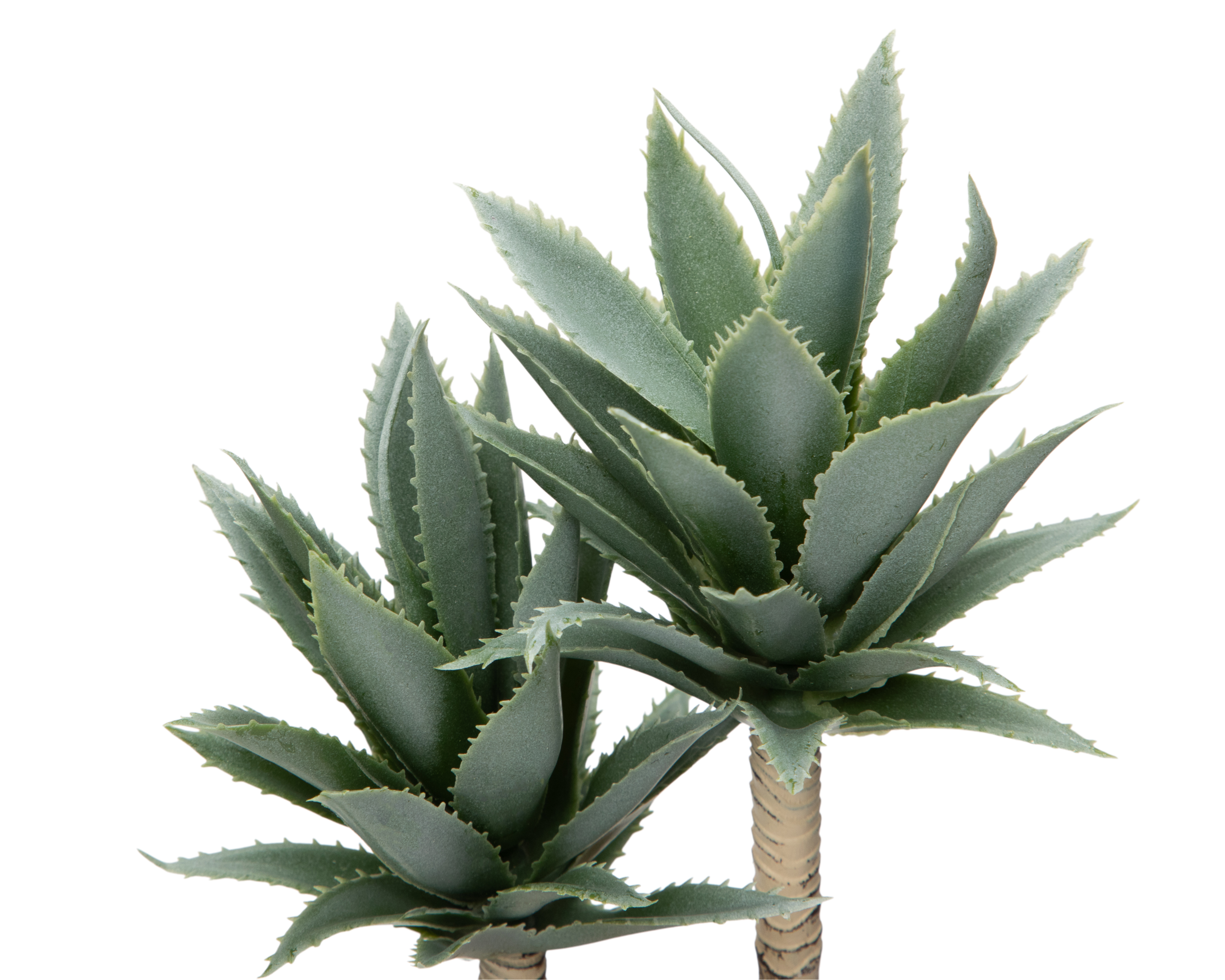 Foto 4 pulgar | Foto 3 | Agave Artificial con Maceta Starhaus 25 cm