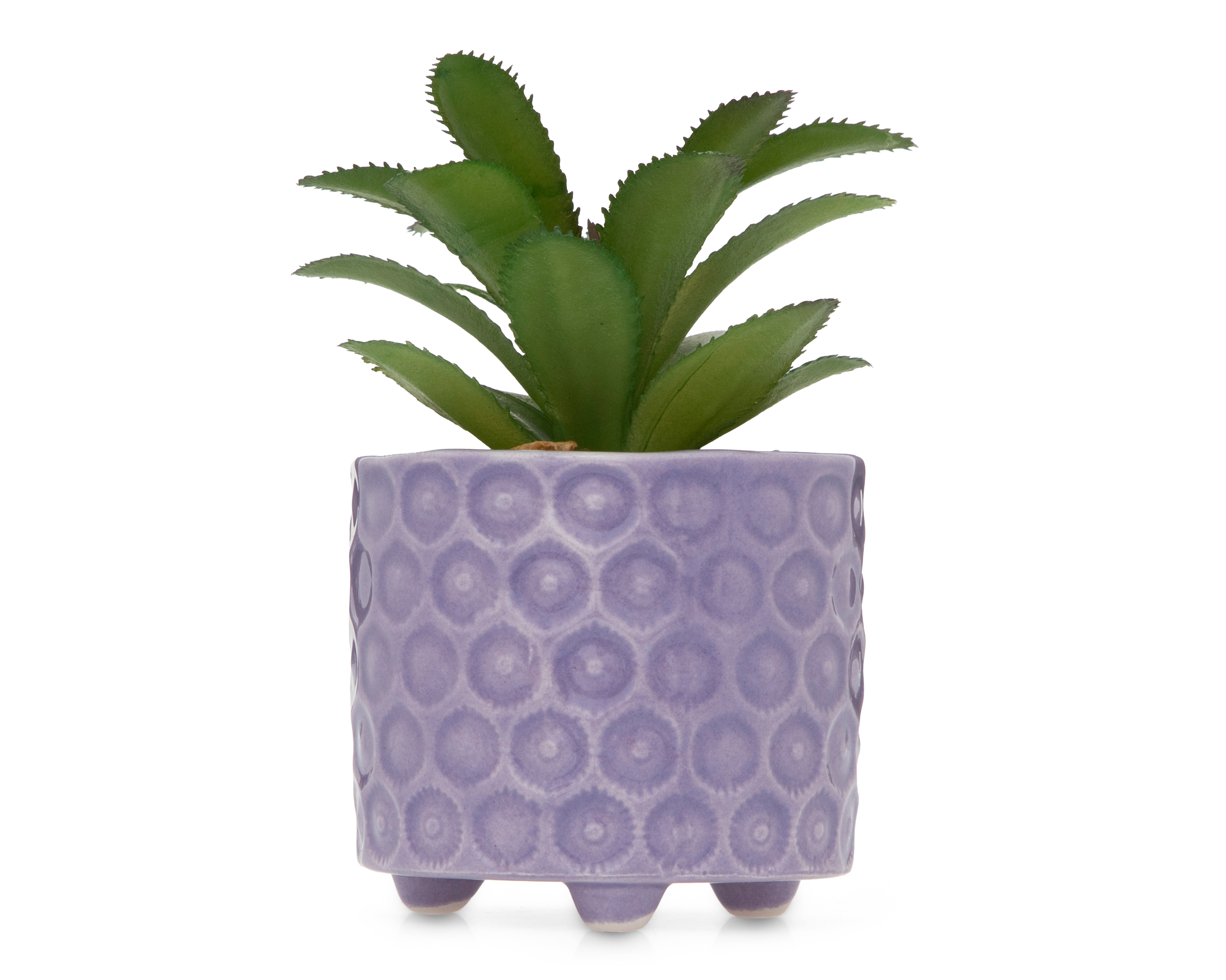 Suculenta Artificial con Maceta Starhaus 12 cm