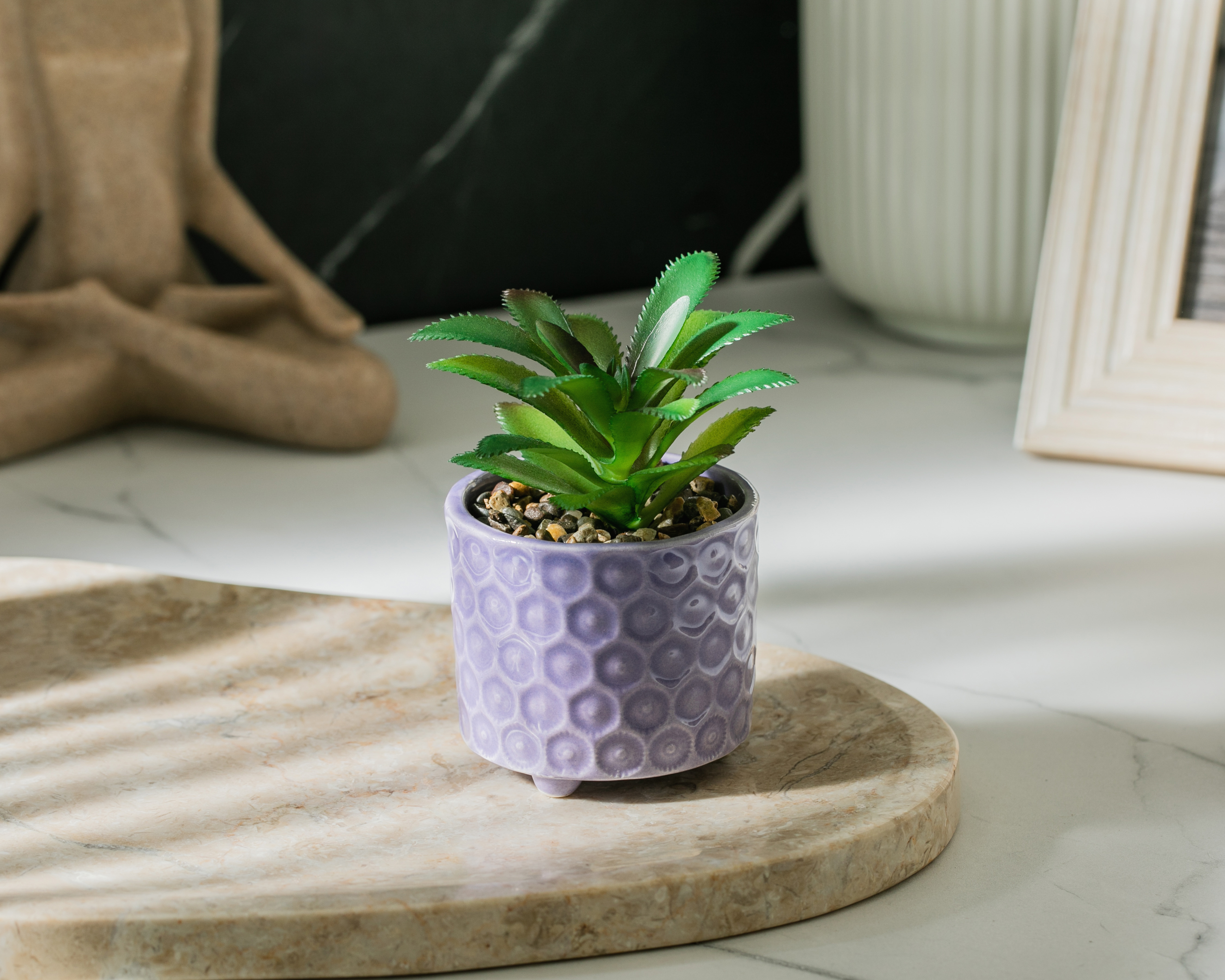 Foto 4 | Foto 4 | Suculenta Artificial con Maceta Starhaus 12 cm