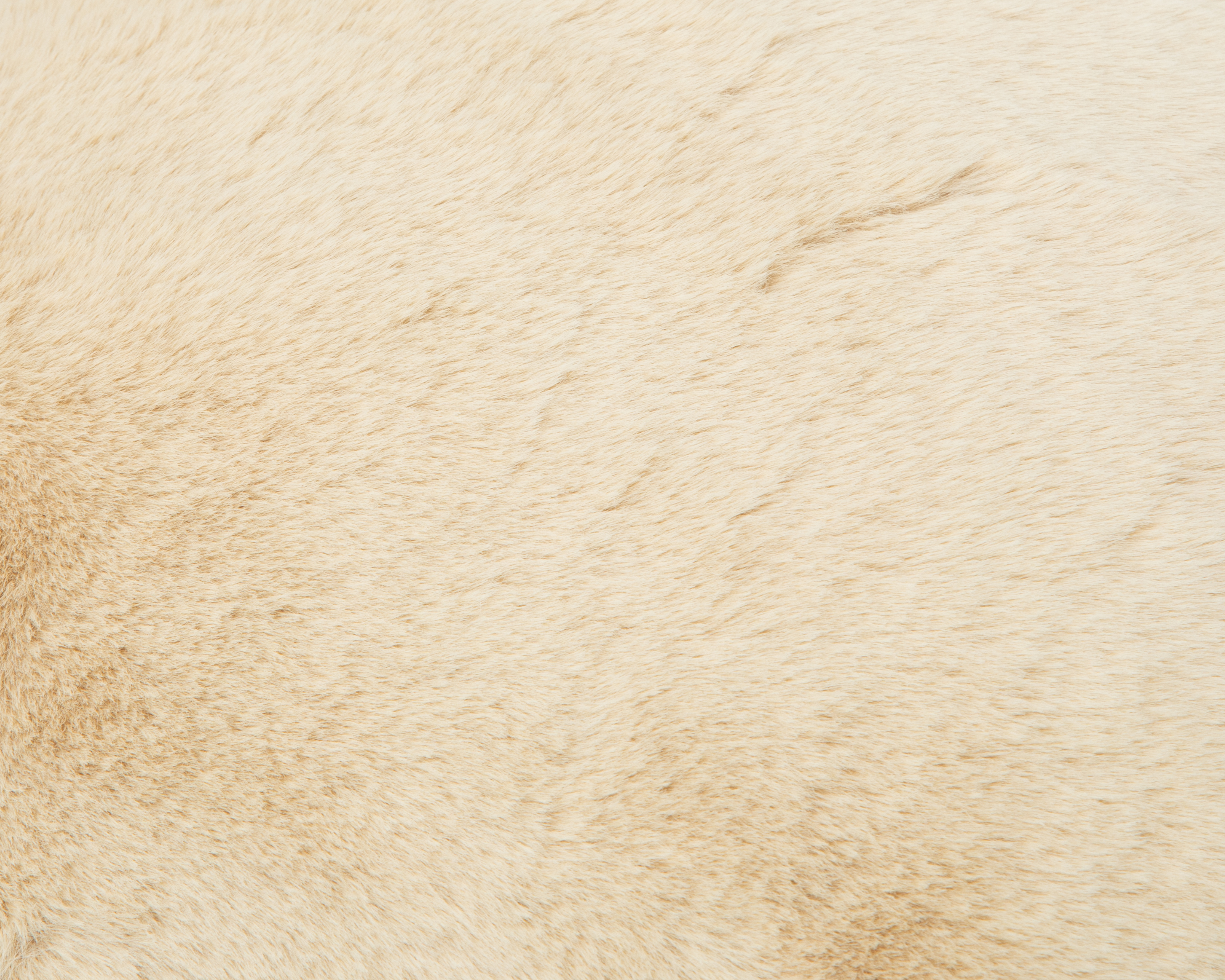 Foto 4 | Foto 4 | Cojín Decorativo Bone