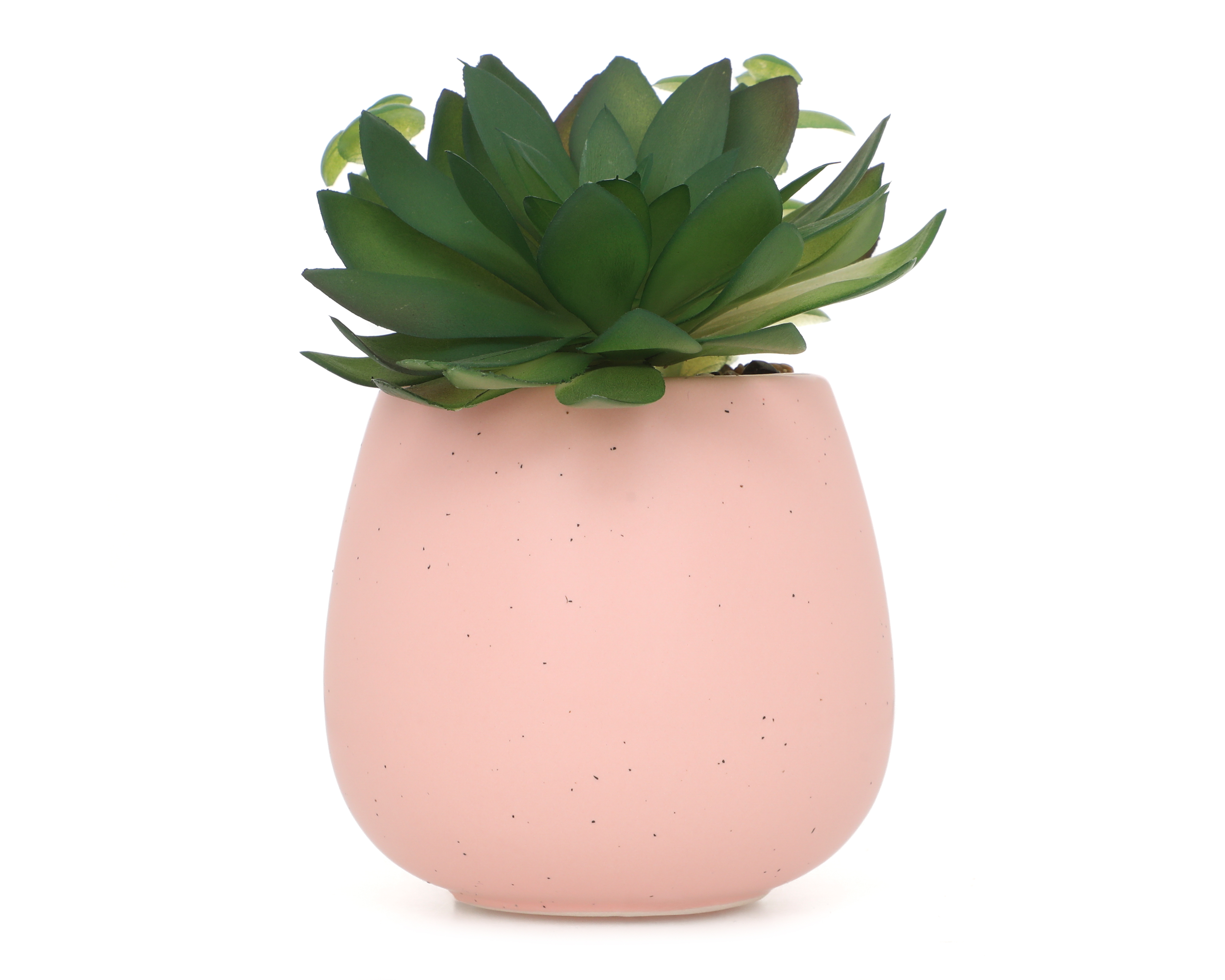 Suculenta Artificial con Maceta Starhaus 15 cm