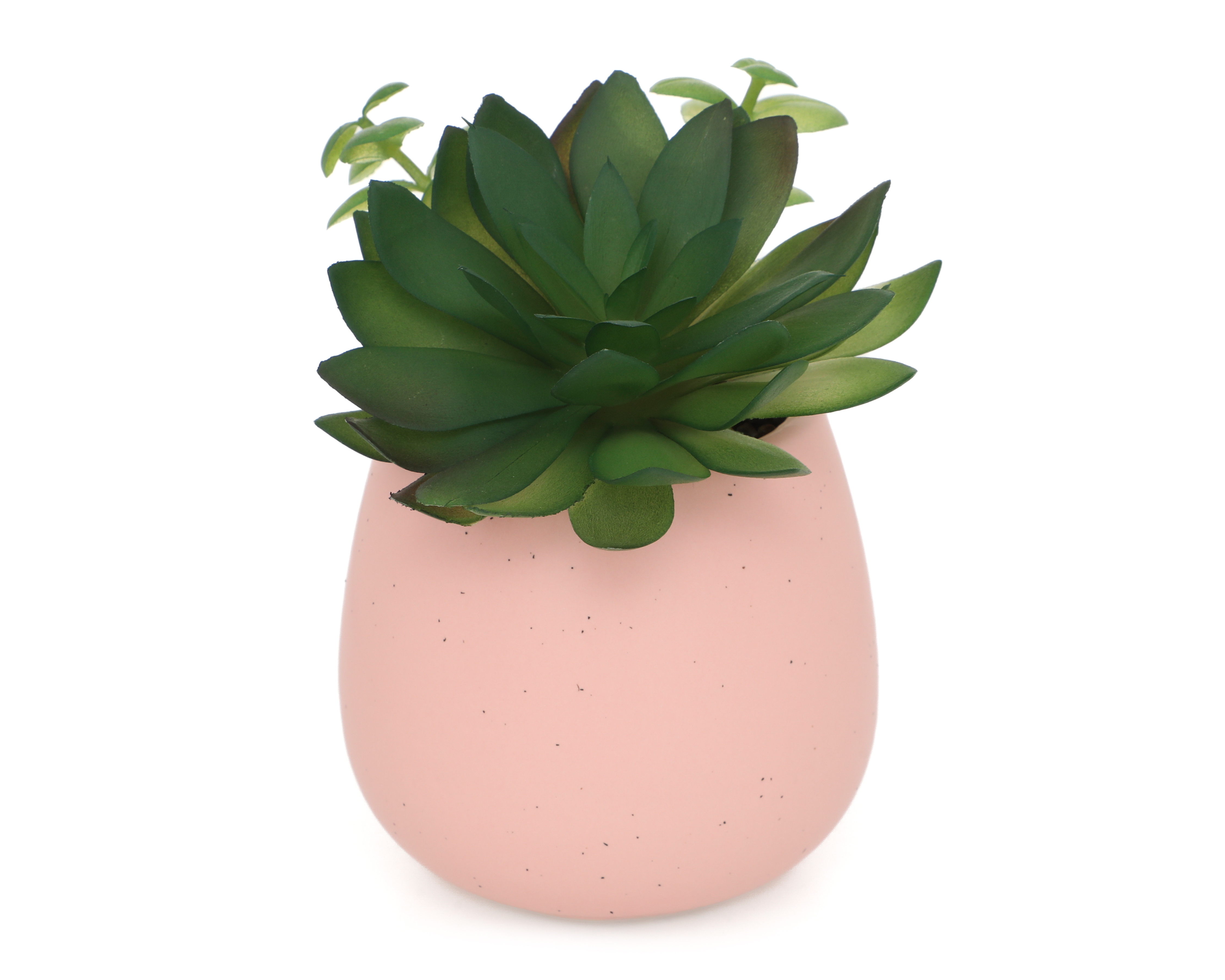 Foto 2 | Foto 2 | Suculenta Artificial con Maceta Starhaus 15 cm