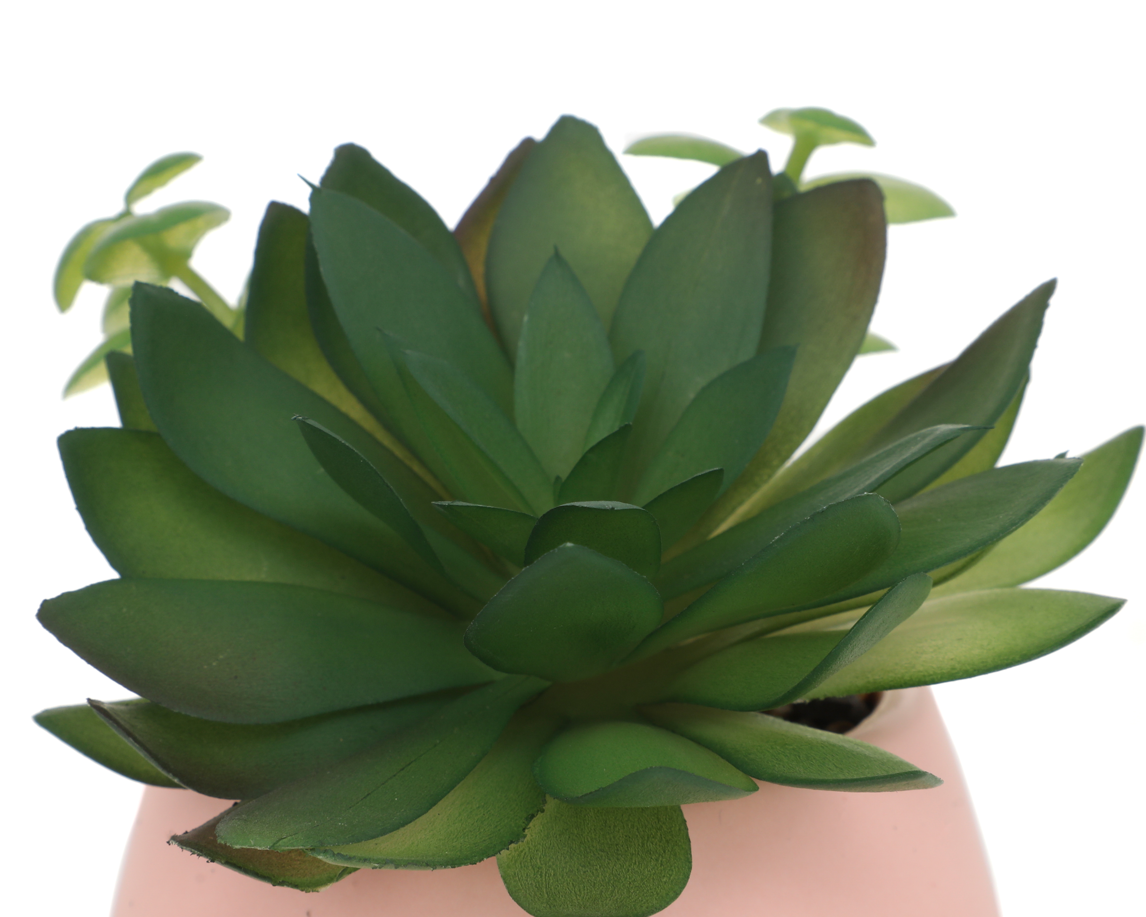 Foto 4 pulgar | Foto 3 | Suculenta Artificial con Maceta Starhaus 15 cm